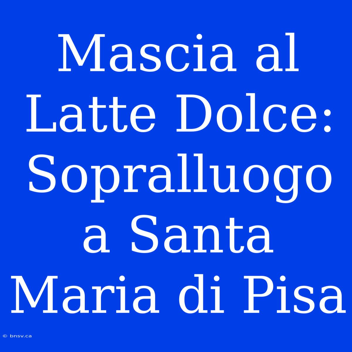 Mascia Al Latte Dolce: Sopralluogo A Santa Maria Di Pisa