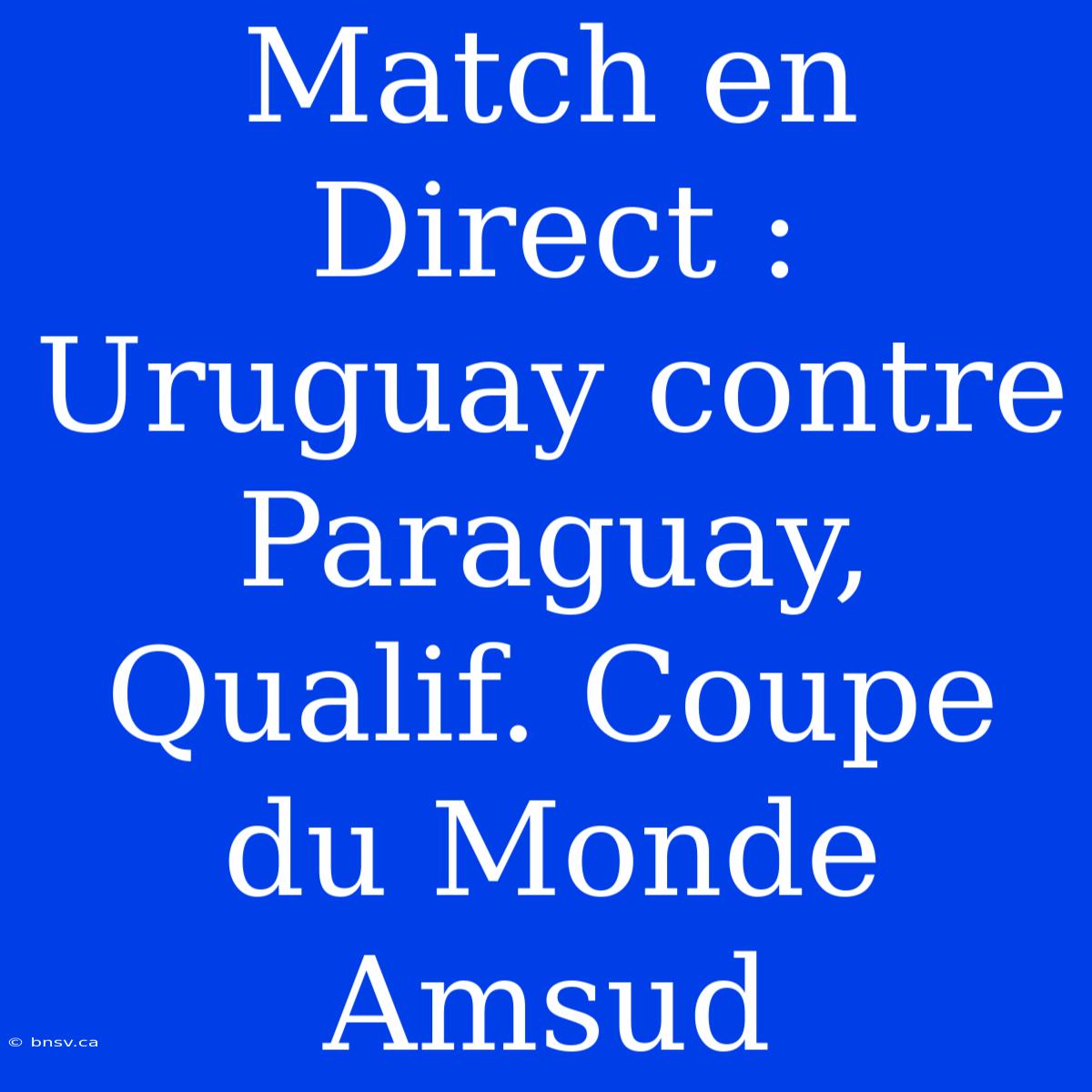 Match En Direct : Uruguay Contre Paraguay, Qualif. Coupe Du Monde Amsud