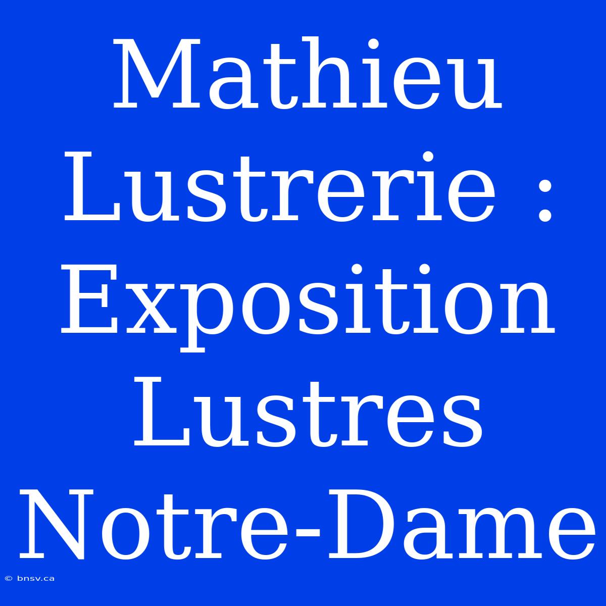 Mathieu Lustrerie : Exposition Lustres Notre-Dame