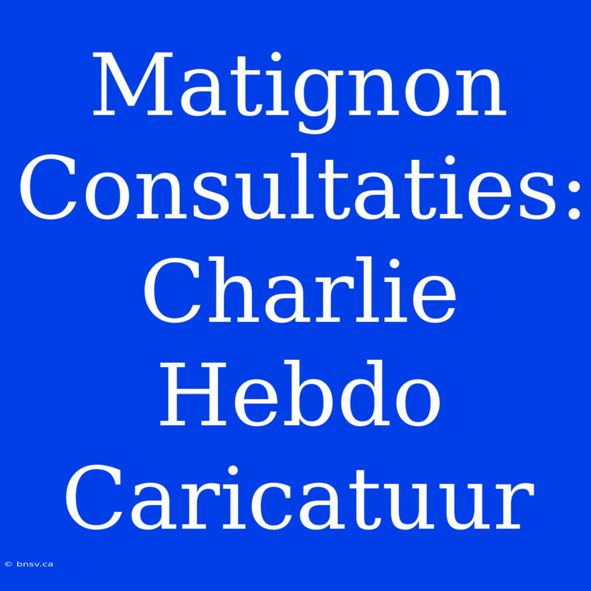 Matignon Consultaties: Charlie Hebdo Caricatuur