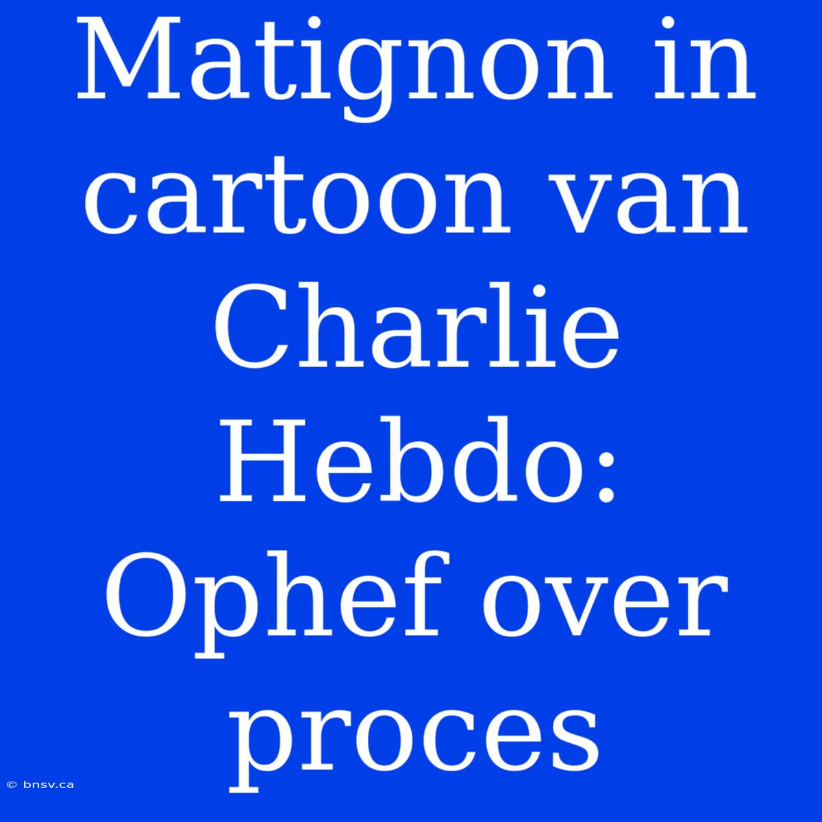 Matignon In Cartoon Van Charlie Hebdo: Ophef Over Proces