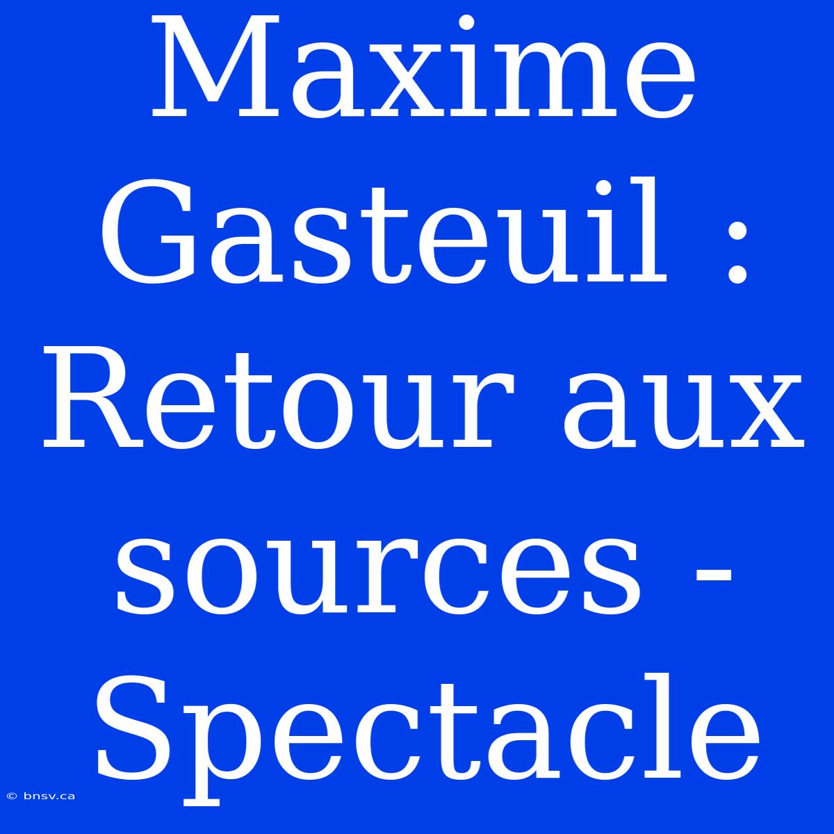 Maxime Gasteuil : Retour Aux Sources - Spectacle