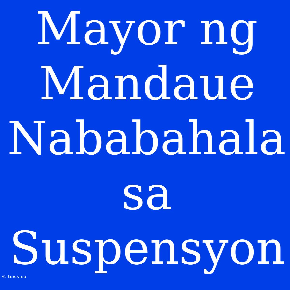 Mayor Ng Mandaue Nababahala Sa Suspensyon