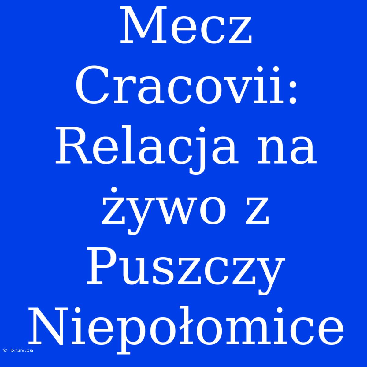 Mecz Cracovii: Relacja Na Żywo Z Puszczy Niepołomice