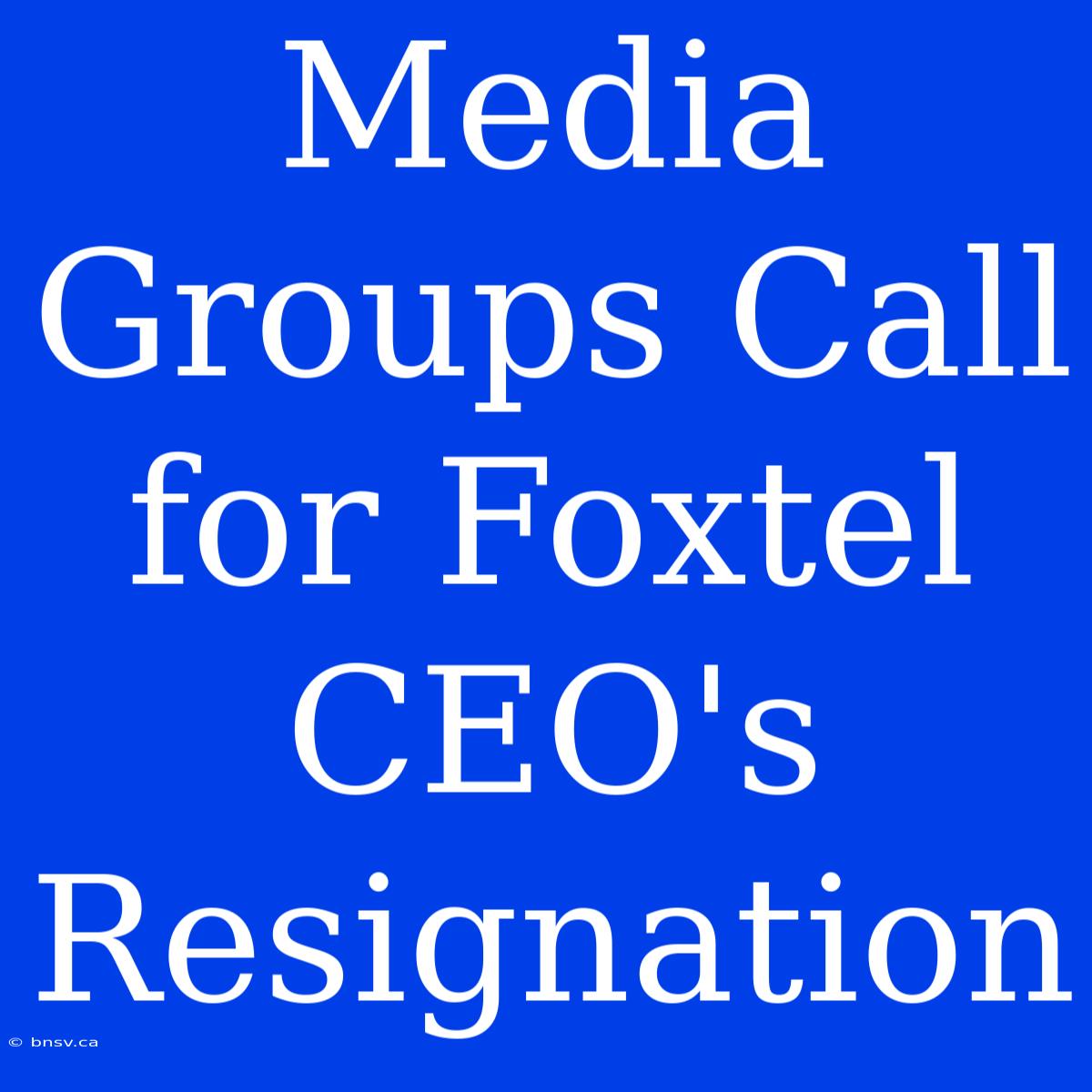 Media Groups Call For Foxtel CEO's Resignation