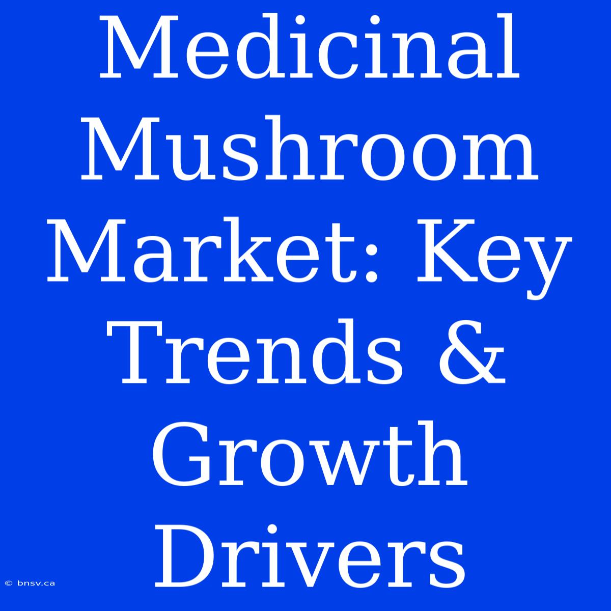 Medicinal Mushroom Market: Key Trends & Growth Drivers