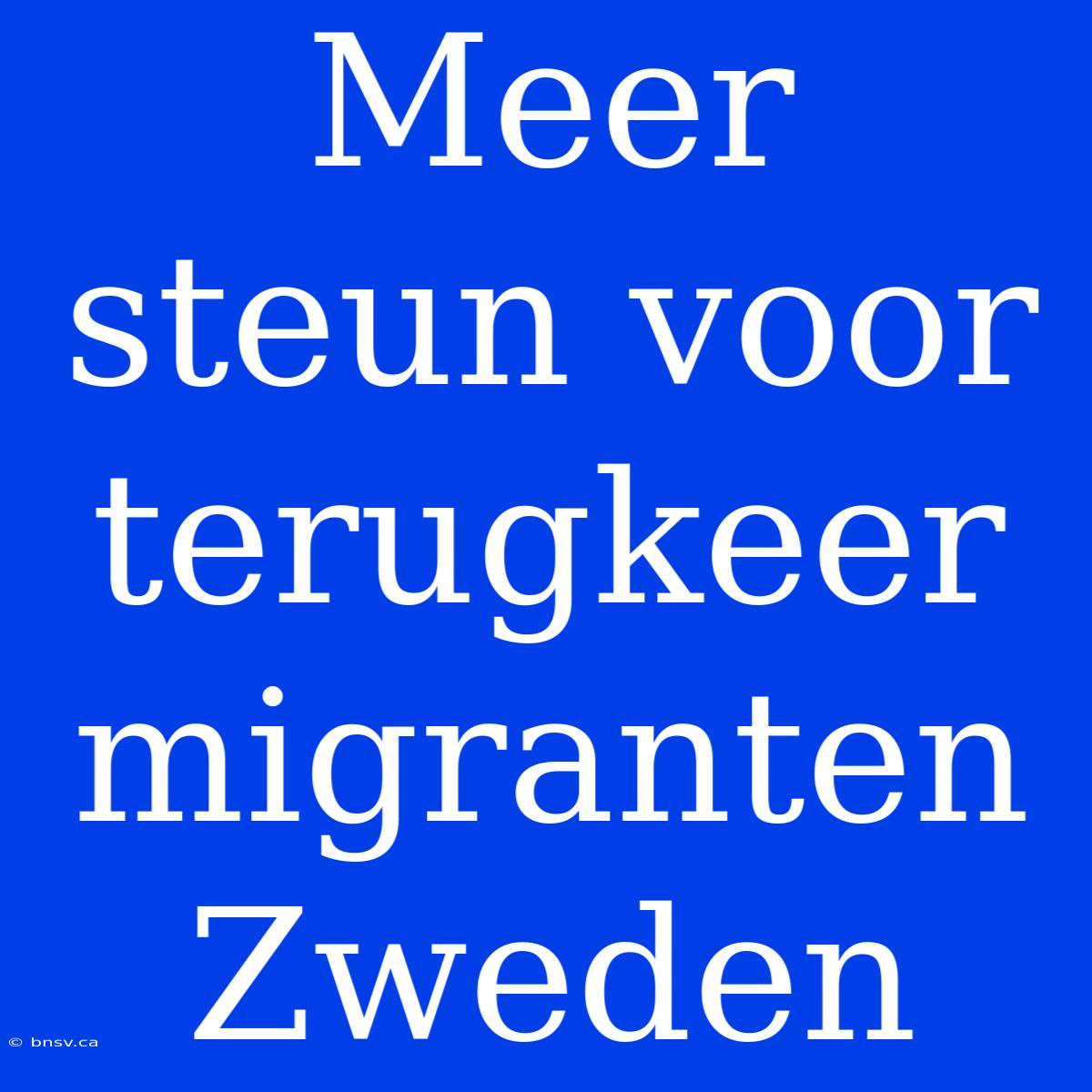 Meer Steun Voor Terugkeer Migranten Zweden