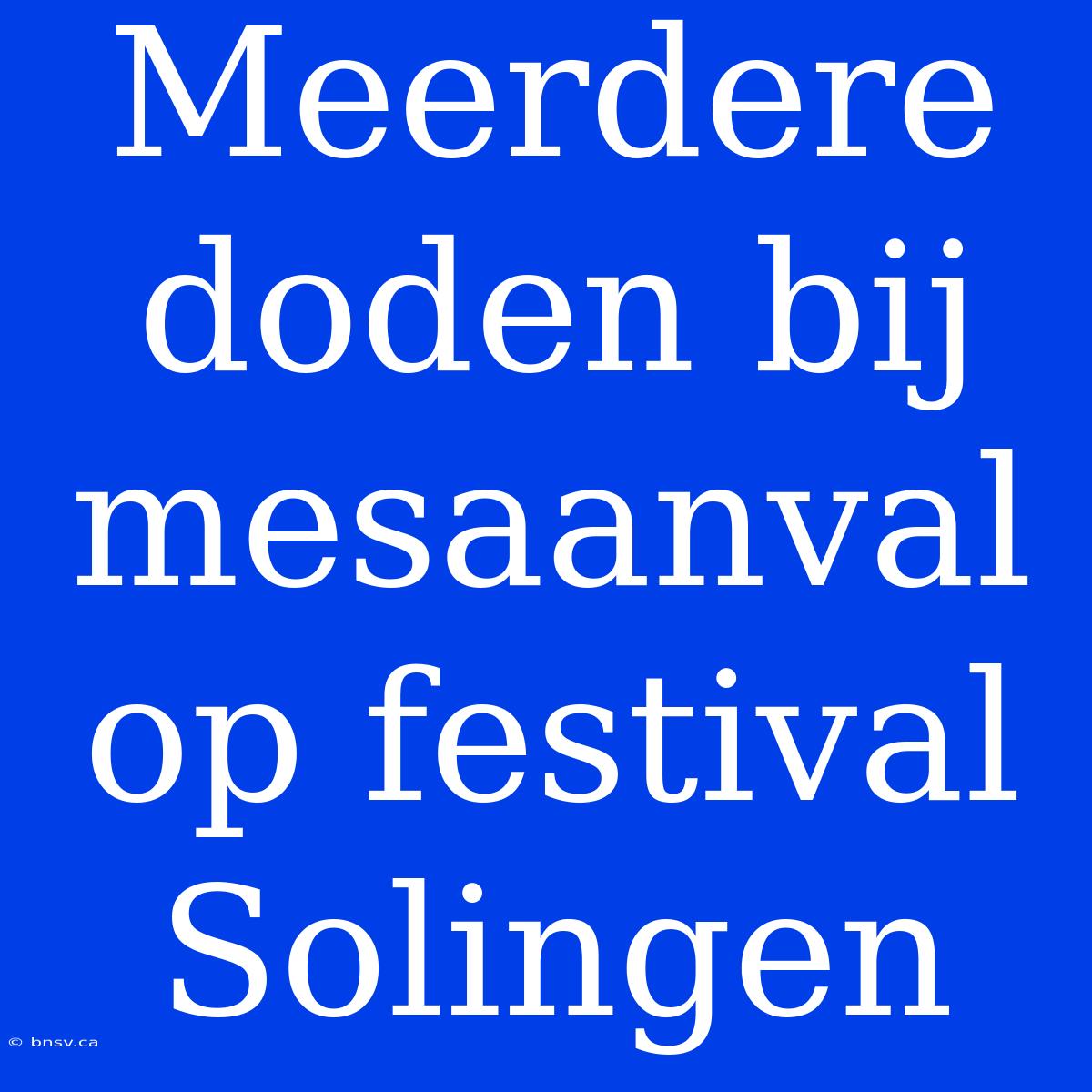 Meerdere Doden Bij Mesaanval Op Festival Solingen