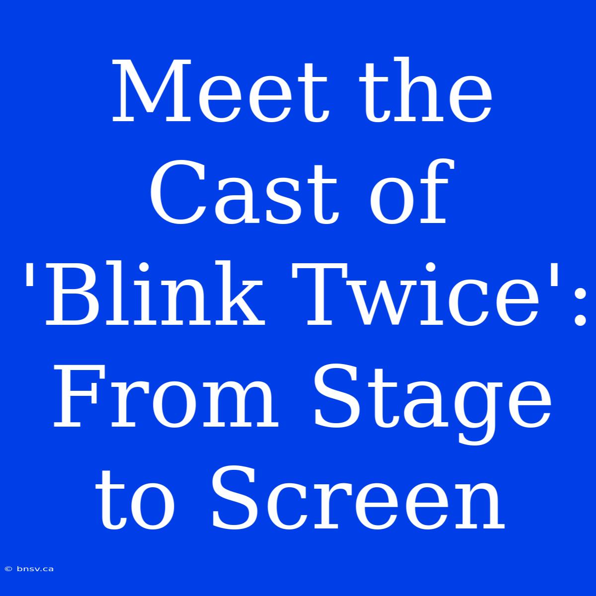 Meet The Cast Of 'Blink Twice': From Stage To Screen