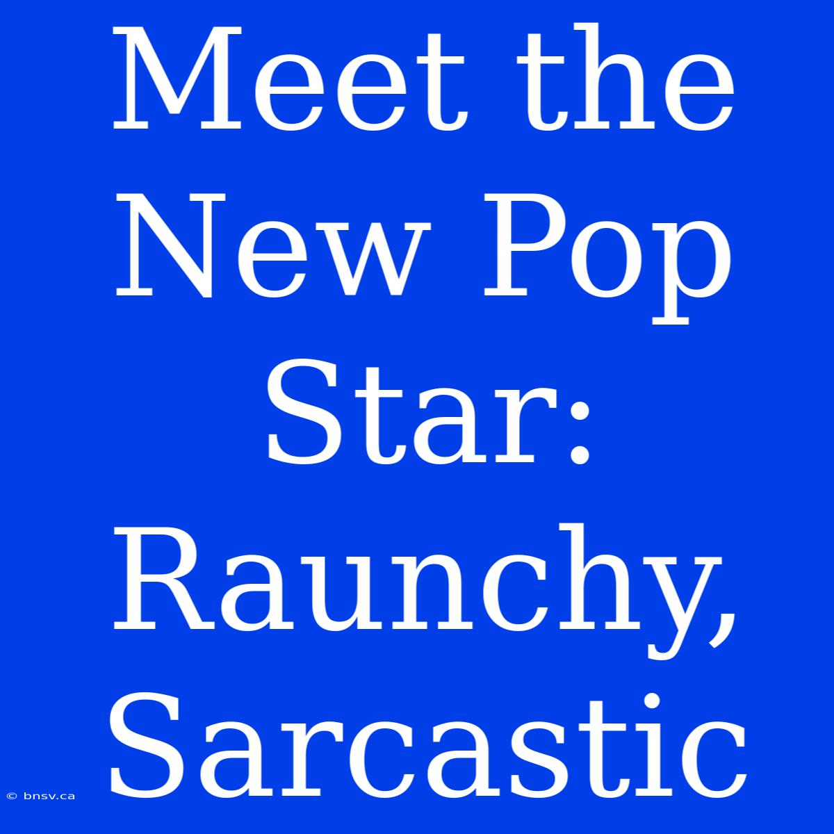 Meet The New Pop Star: Raunchy, Sarcastic