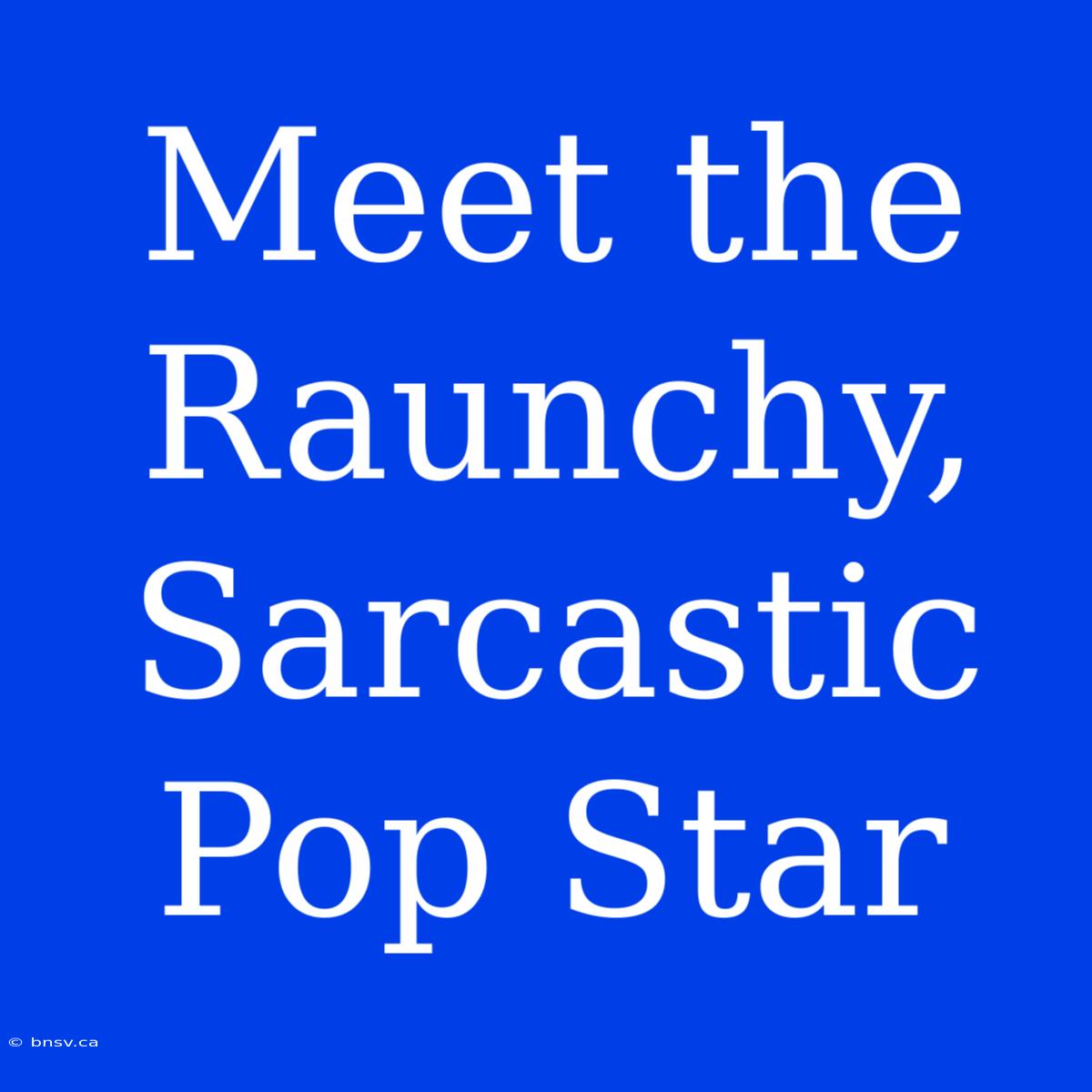 Meet The Raunchy, Sarcastic Pop Star