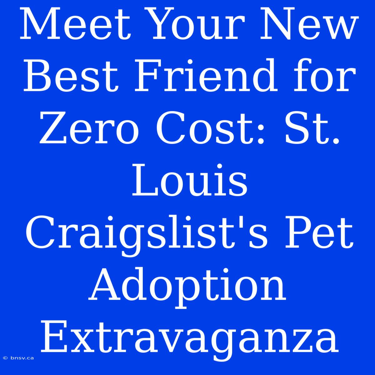 Meet Your New Best Friend For Zero Cost: St. Louis Craigslist's Pet Adoption Extravaganza