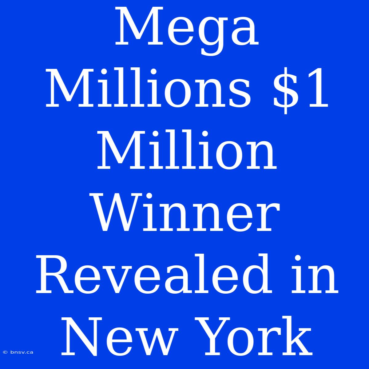 Mega Millions $1 Million Winner Revealed In New York