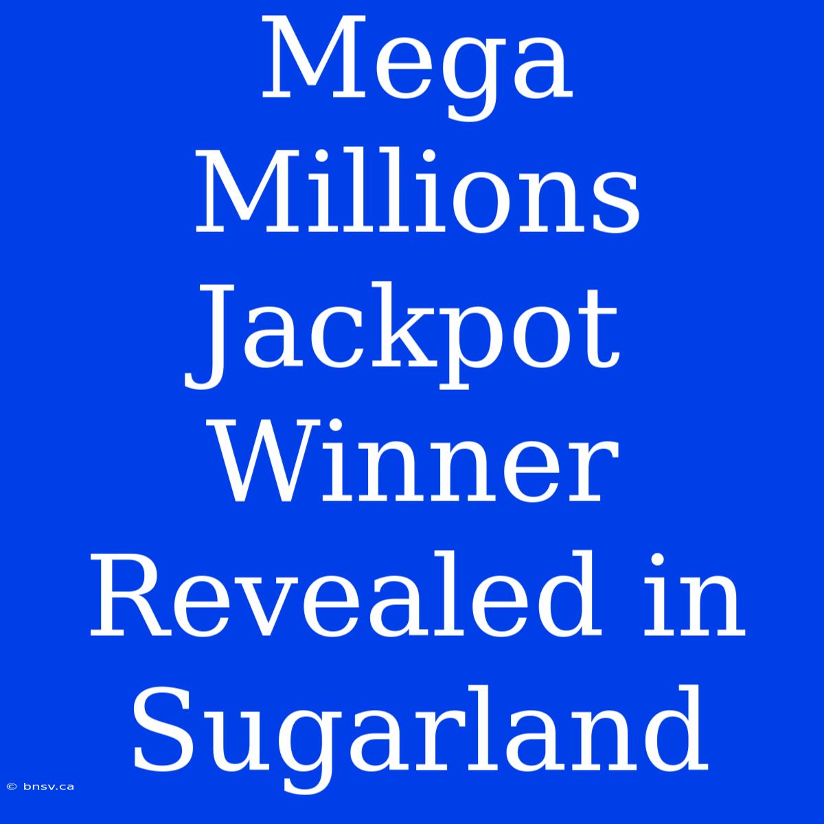 Mega Millions Jackpot Winner Revealed In Sugarland