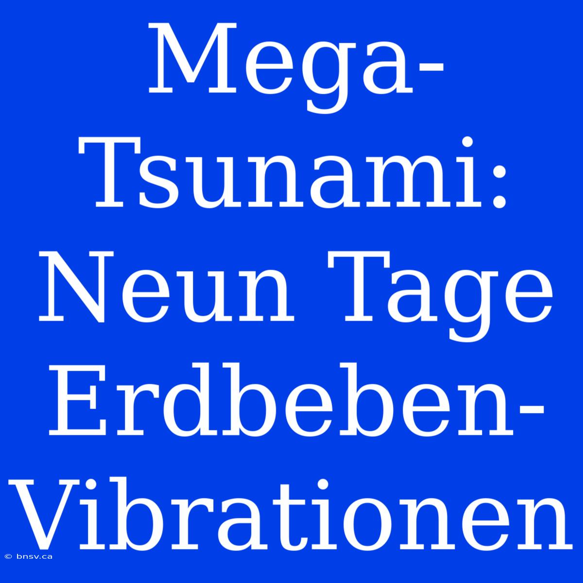 Mega-Tsunami: Neun Tage Erdbeben-Vibrationen