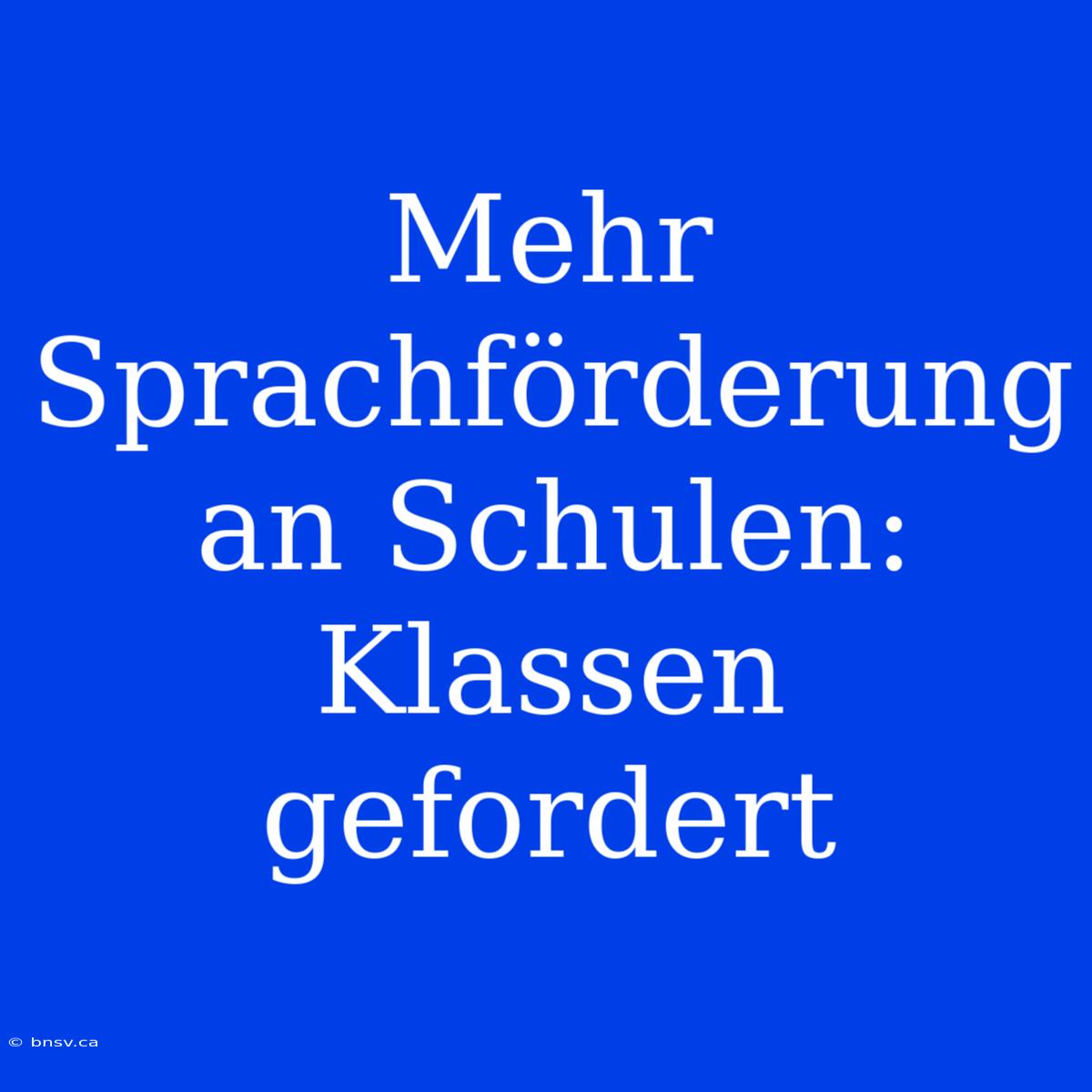 Mehr Sprachförderung An Schulen: Klassen Gefordert