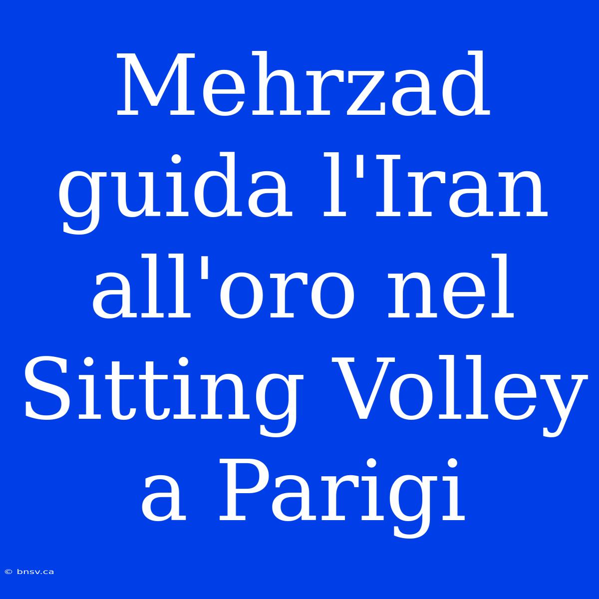 Mehrzad Guida L'Iran All'oro Nel Sitting Volley A Parigi