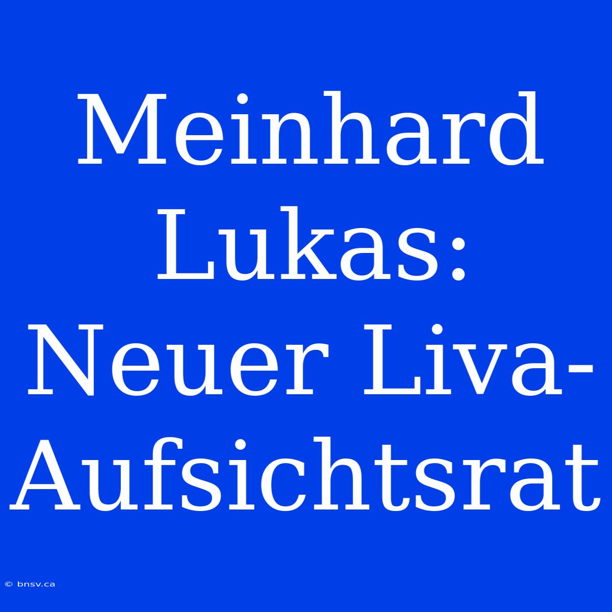 Meinhard Lukas: Neuer Liva-Aufsichtsrat