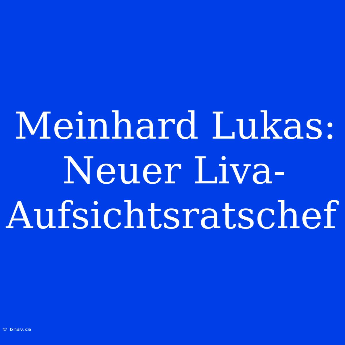 Meinhard Lukas: Neuer Liva-Aufsichtsratschef