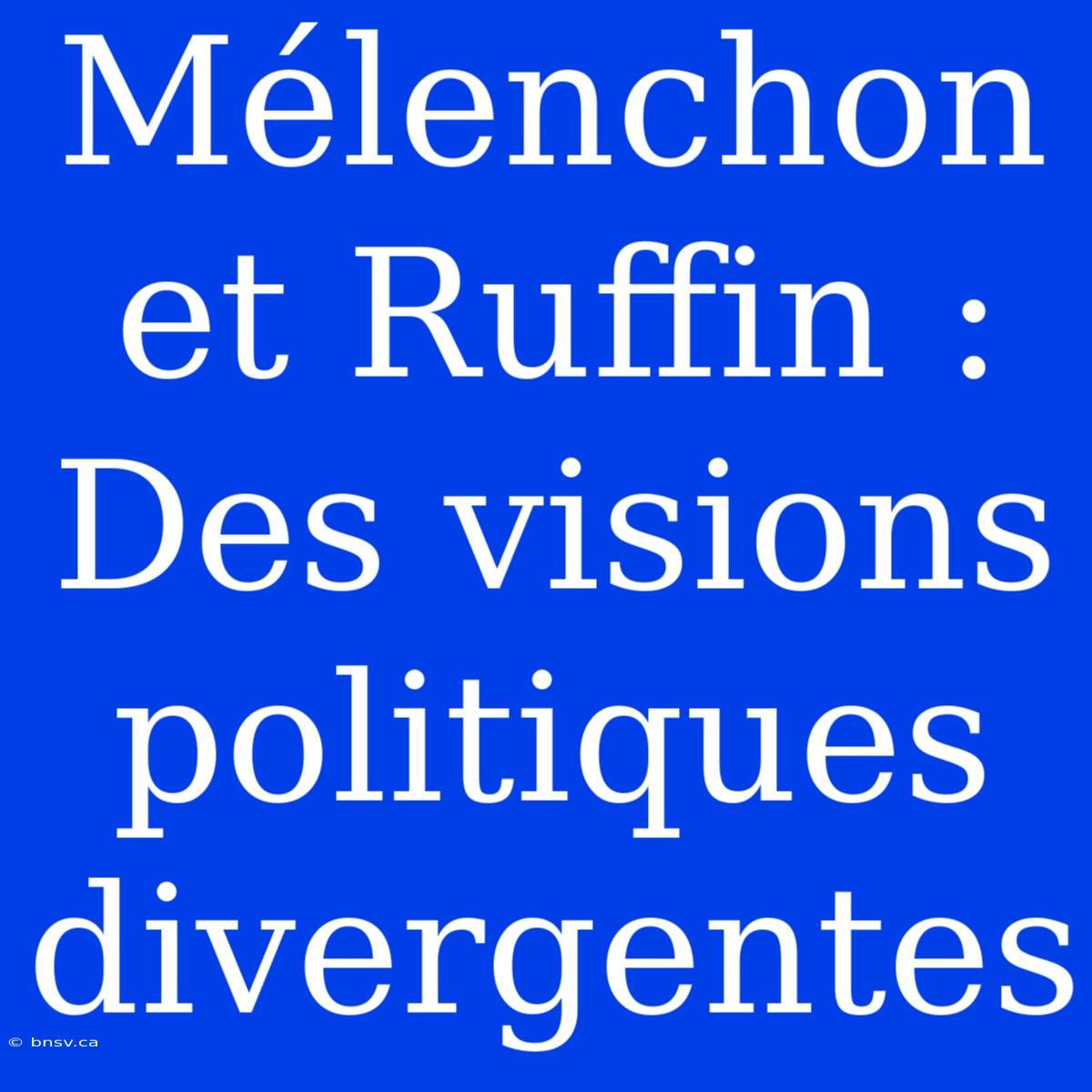 Mélenchon Et Ruffin : Des Visions Politiques Divergentes