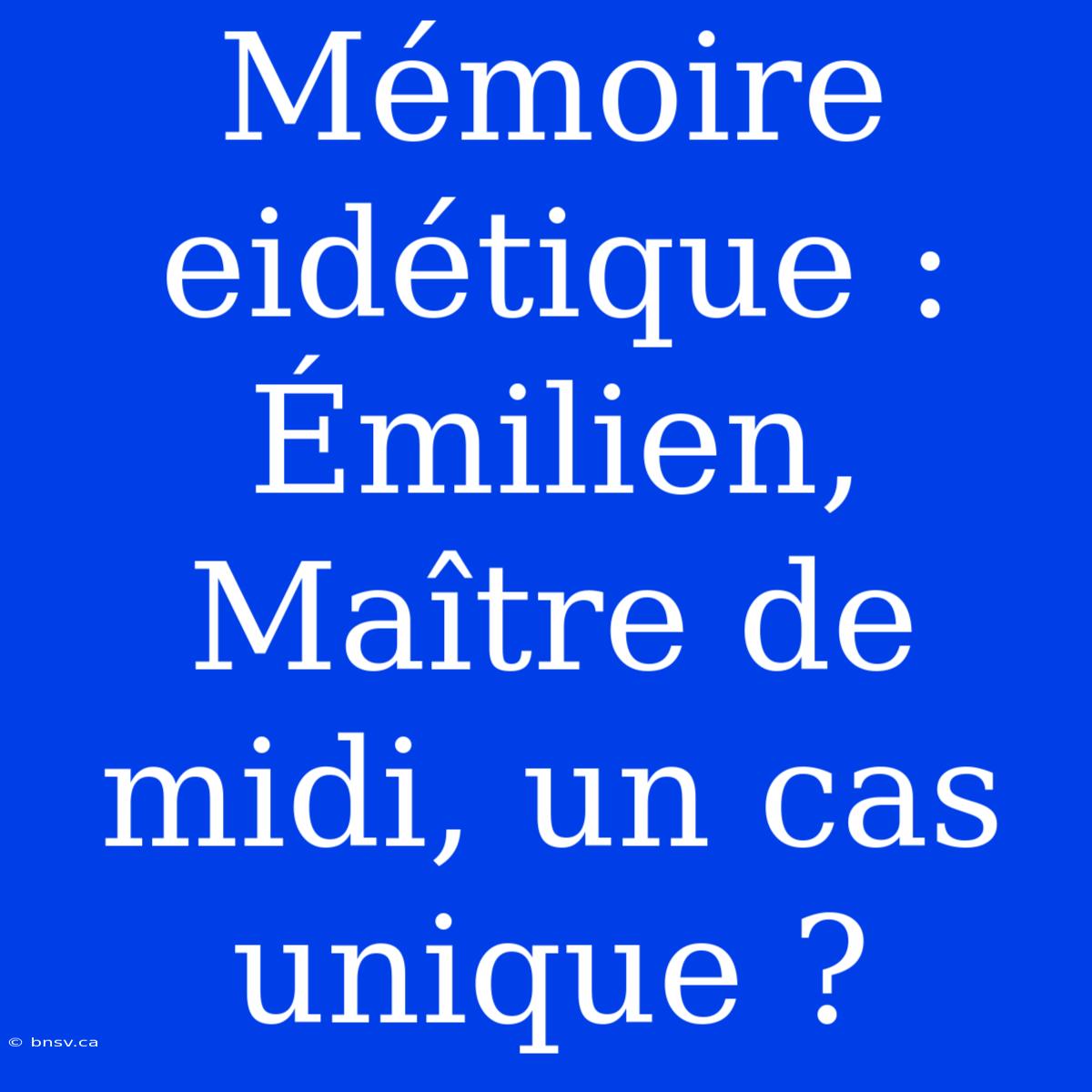 Mémoire Eidétique : Émilien, Maître De Midi, Un Cas Unique ?