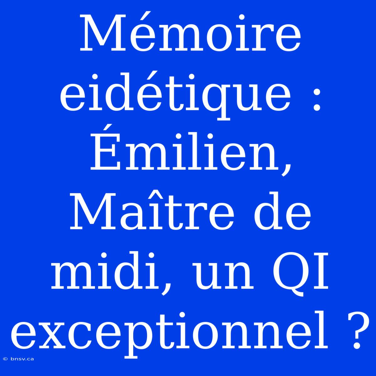 Mémoire Eidétique : Émilien, Maître De Midi, Un QI Exceptionnel ?