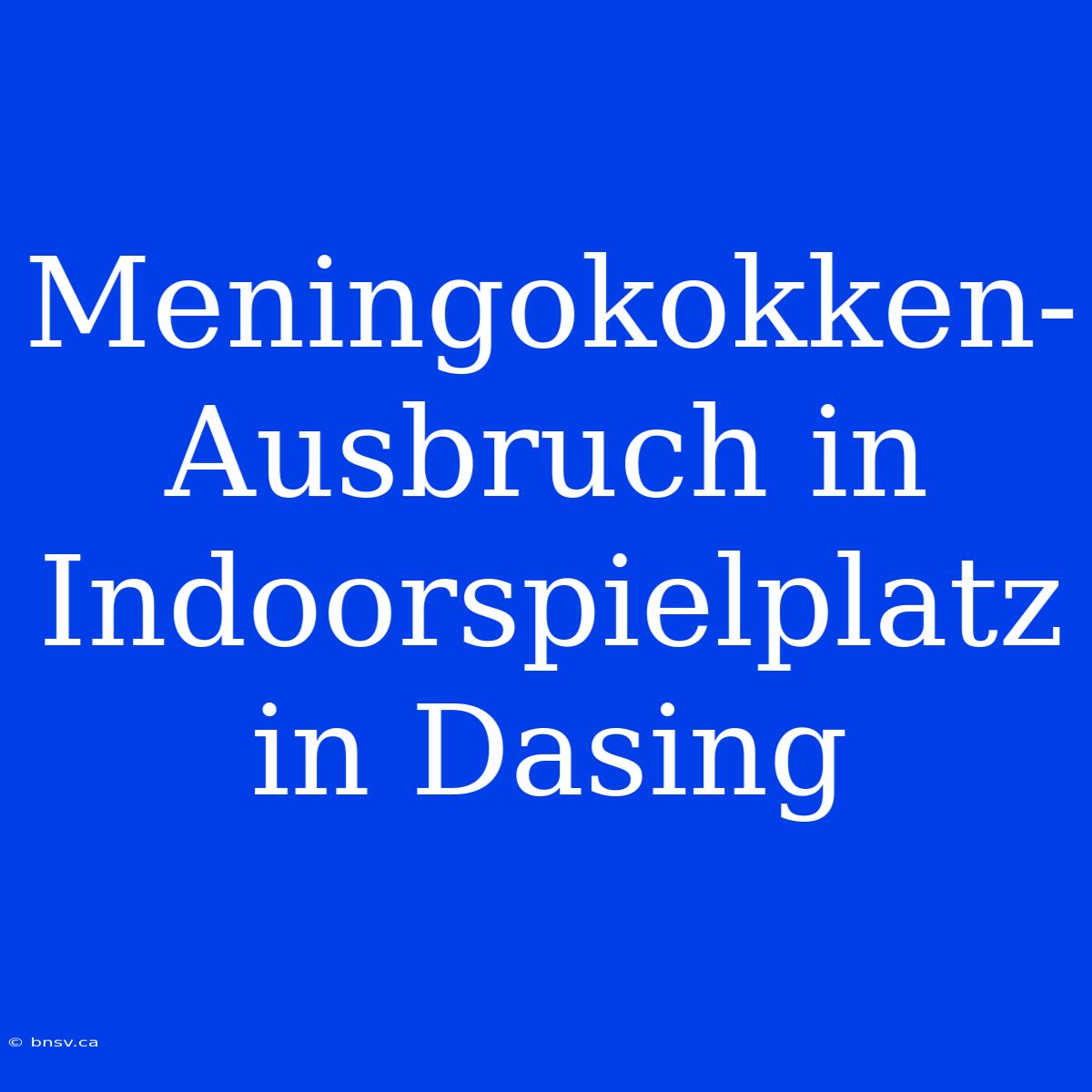 Meningokokken-Ausbruch In Indoorspielplatz In Dasing