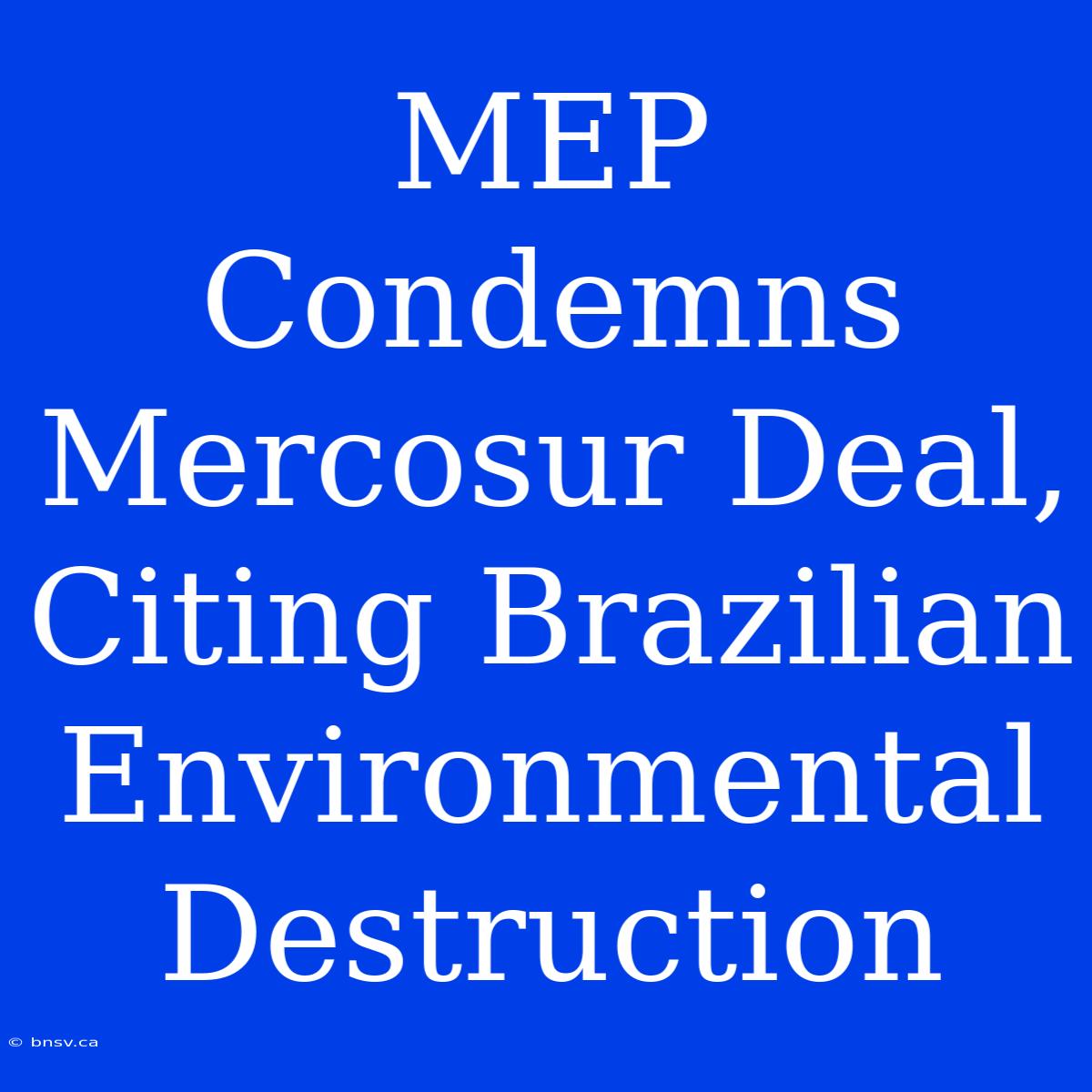 MEP Condemns Mercosur Deal, Citing Brazilian Environmental Destruction