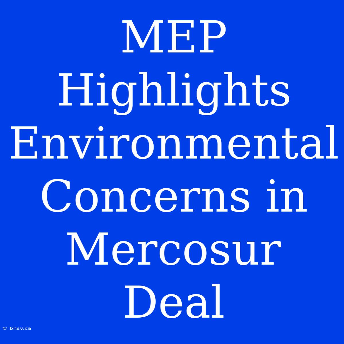 MEP Highlights Environmental Concerns In Mercosur Deal