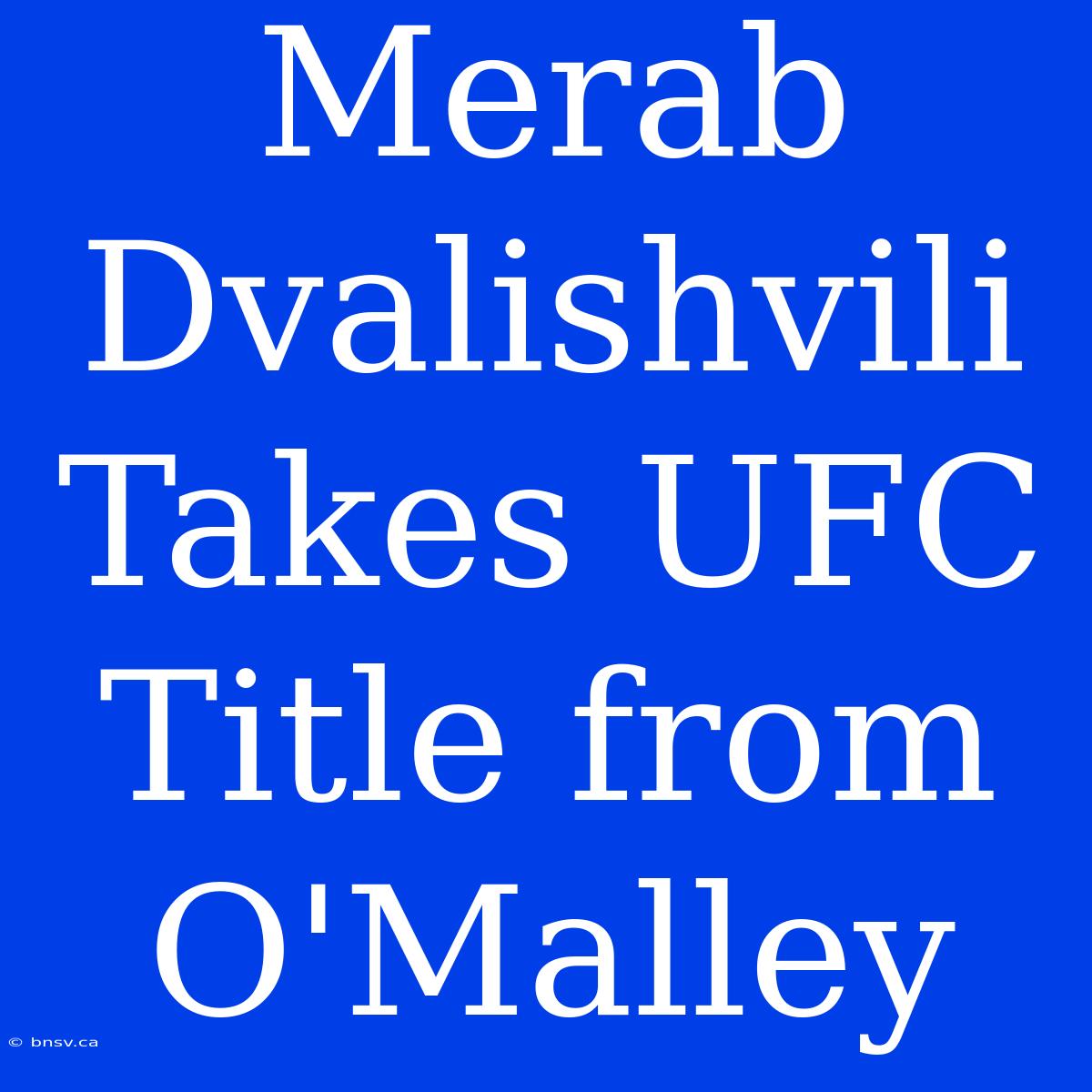 Merab Dvalishvili Takes UFC Title From O'Malley