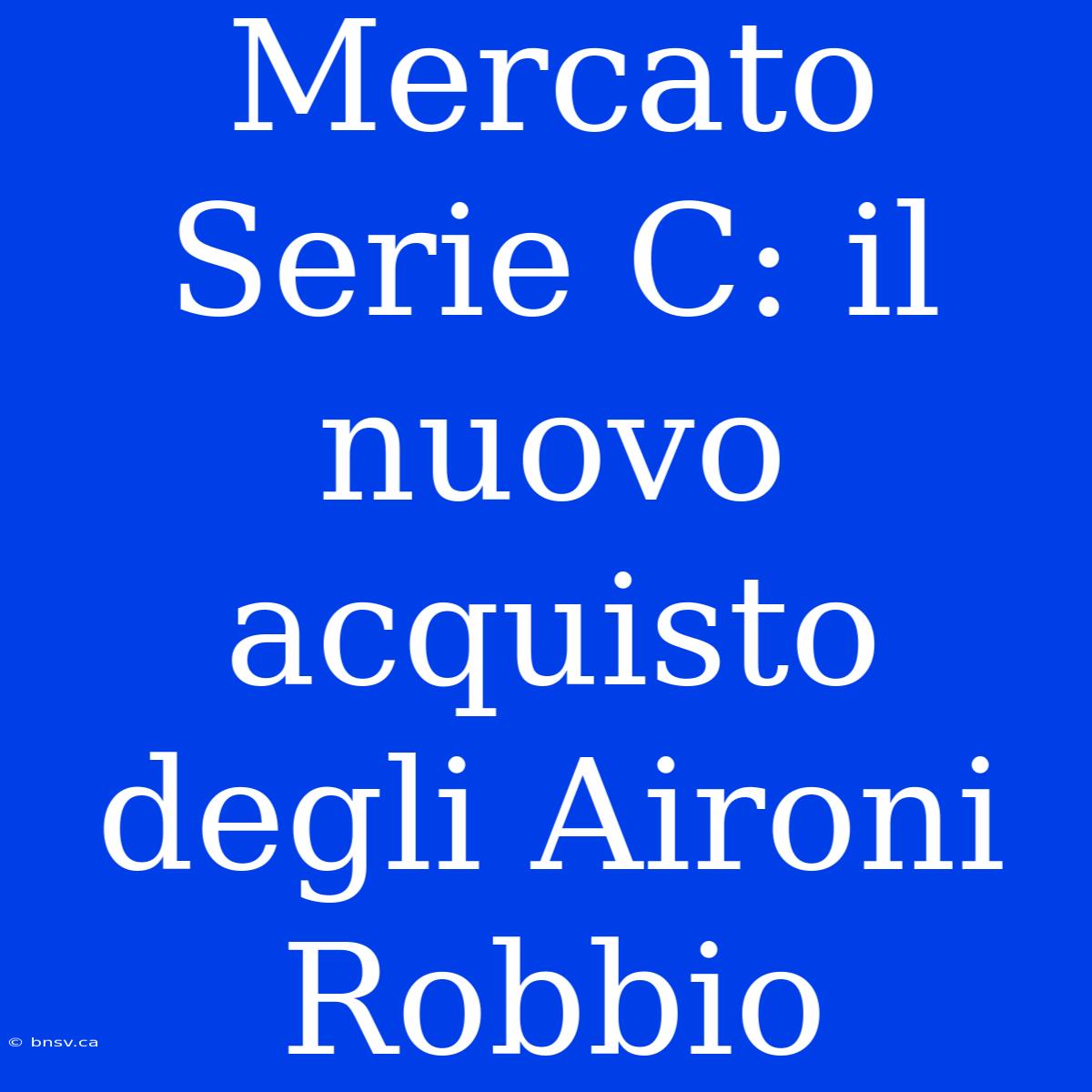 Mercato Serie C: Il Nuovo Acquisto Degli Aironi Robbio