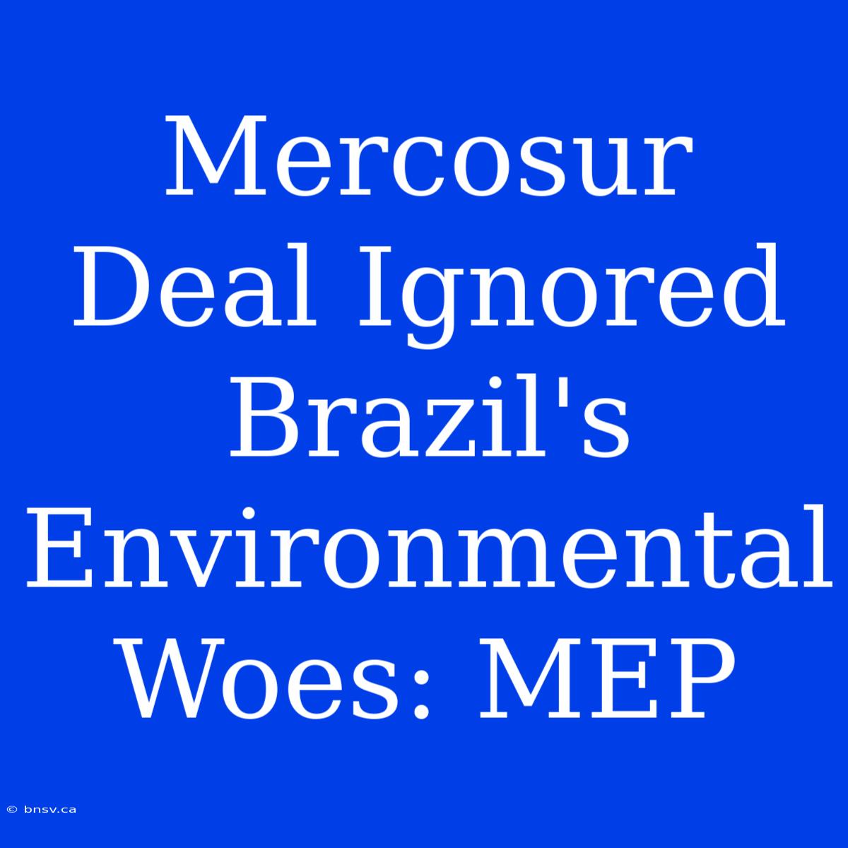 Mercosur Deal Ignored Brazil's Environmental Woes: MEP