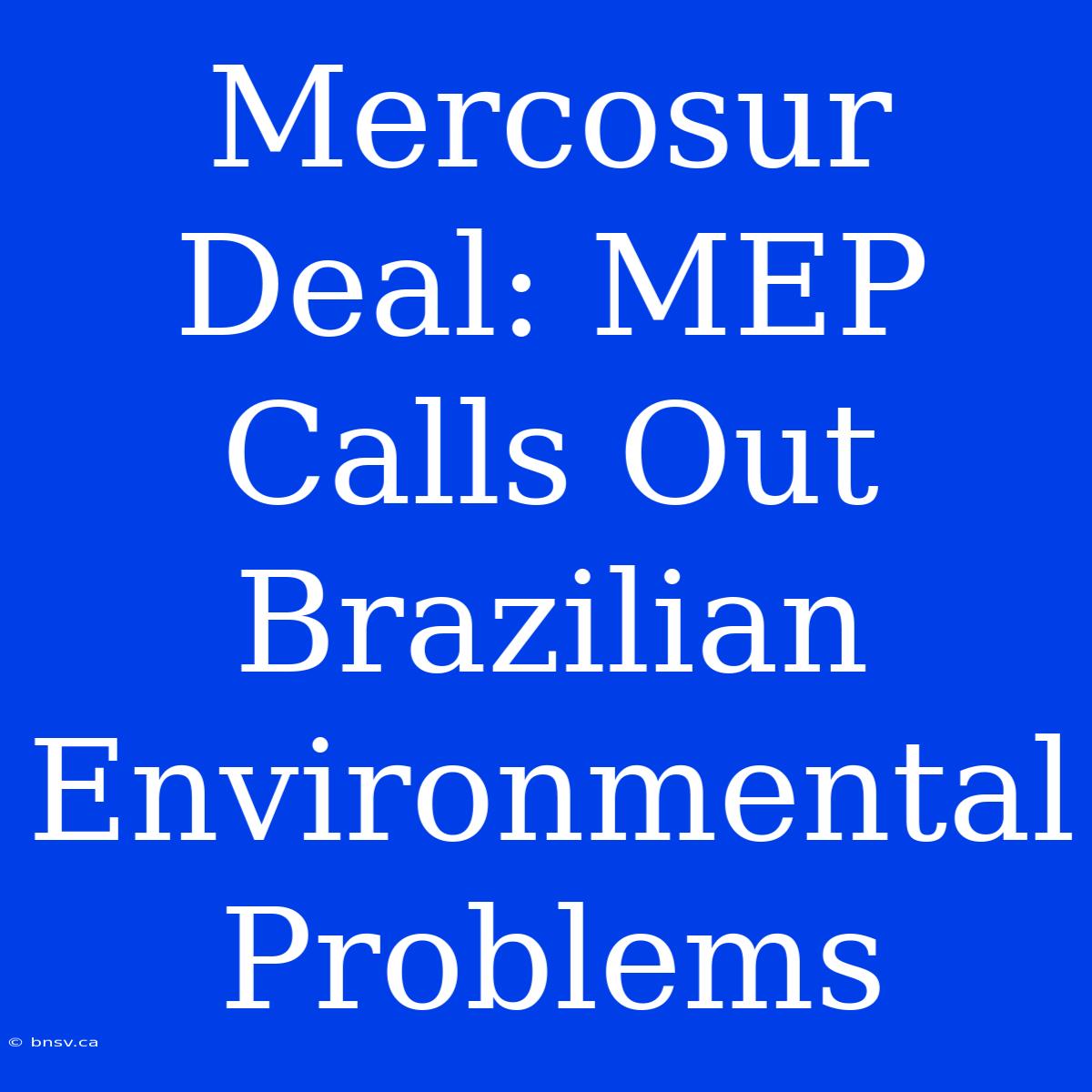 Mercosur Deal: MEP Calls Out Brazilian Environmental Problems