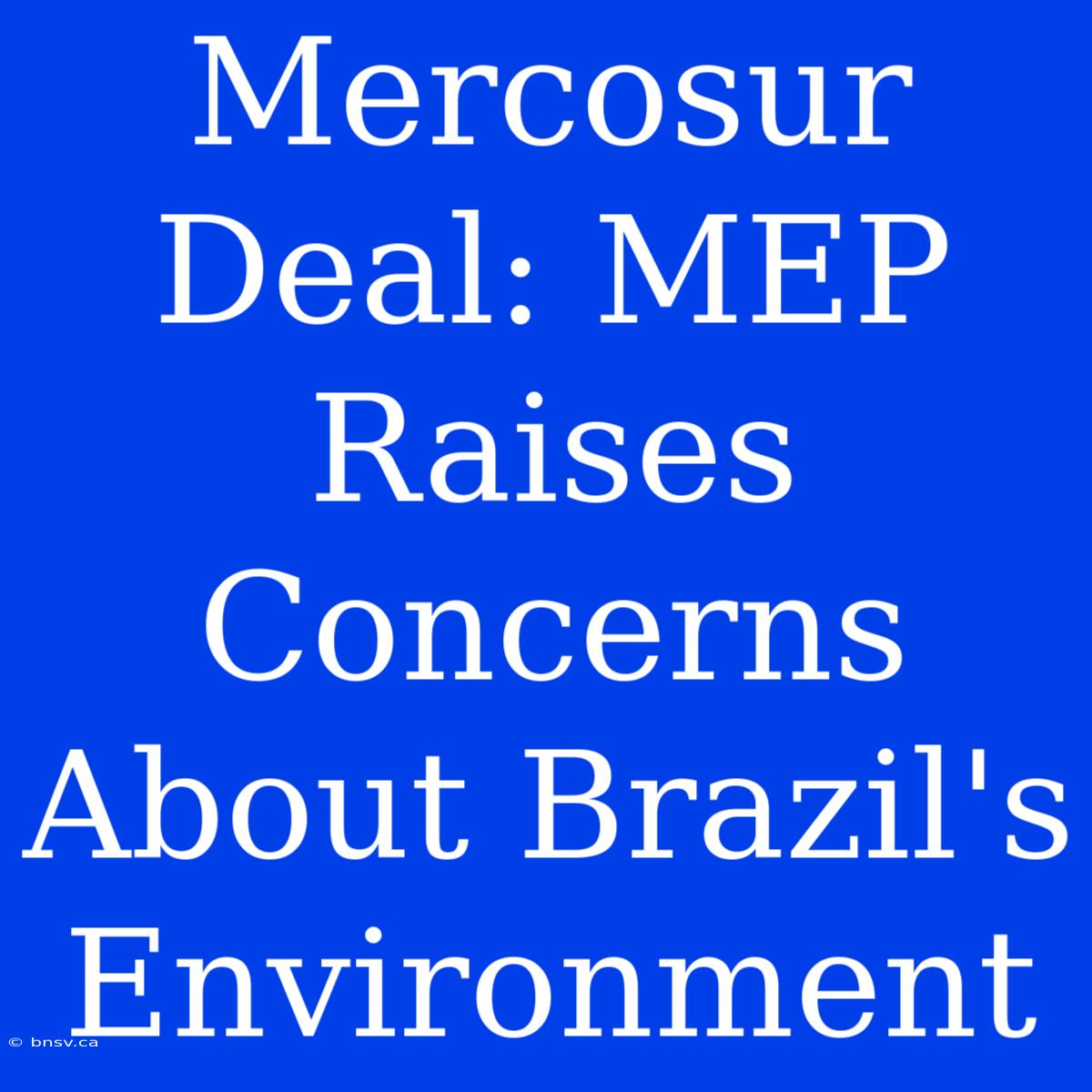 Mercosur Deal: MEP Raises Concerns About Brazil's Environment