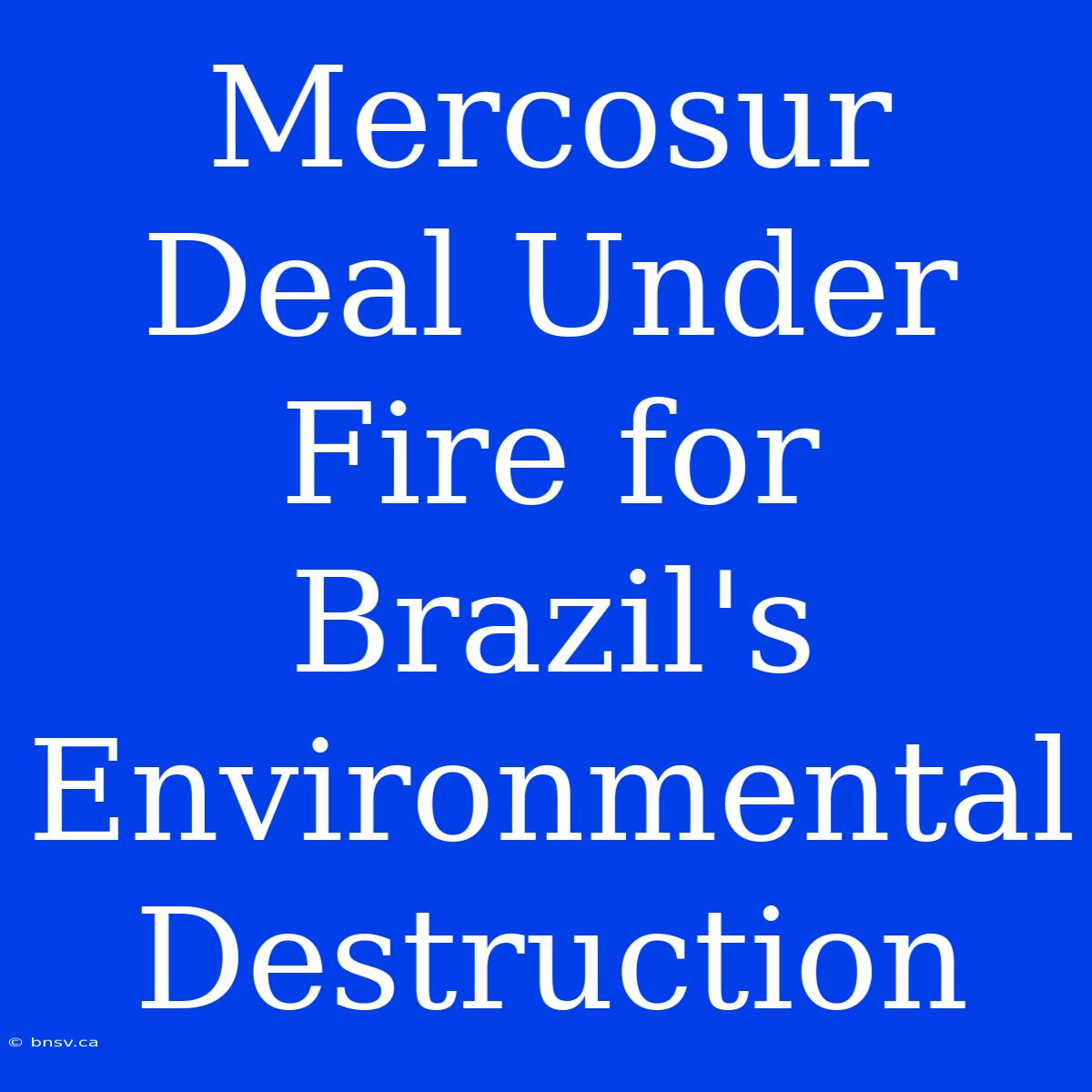 Mercosur Deal Under Fire For Brazil's Environmental Destruction