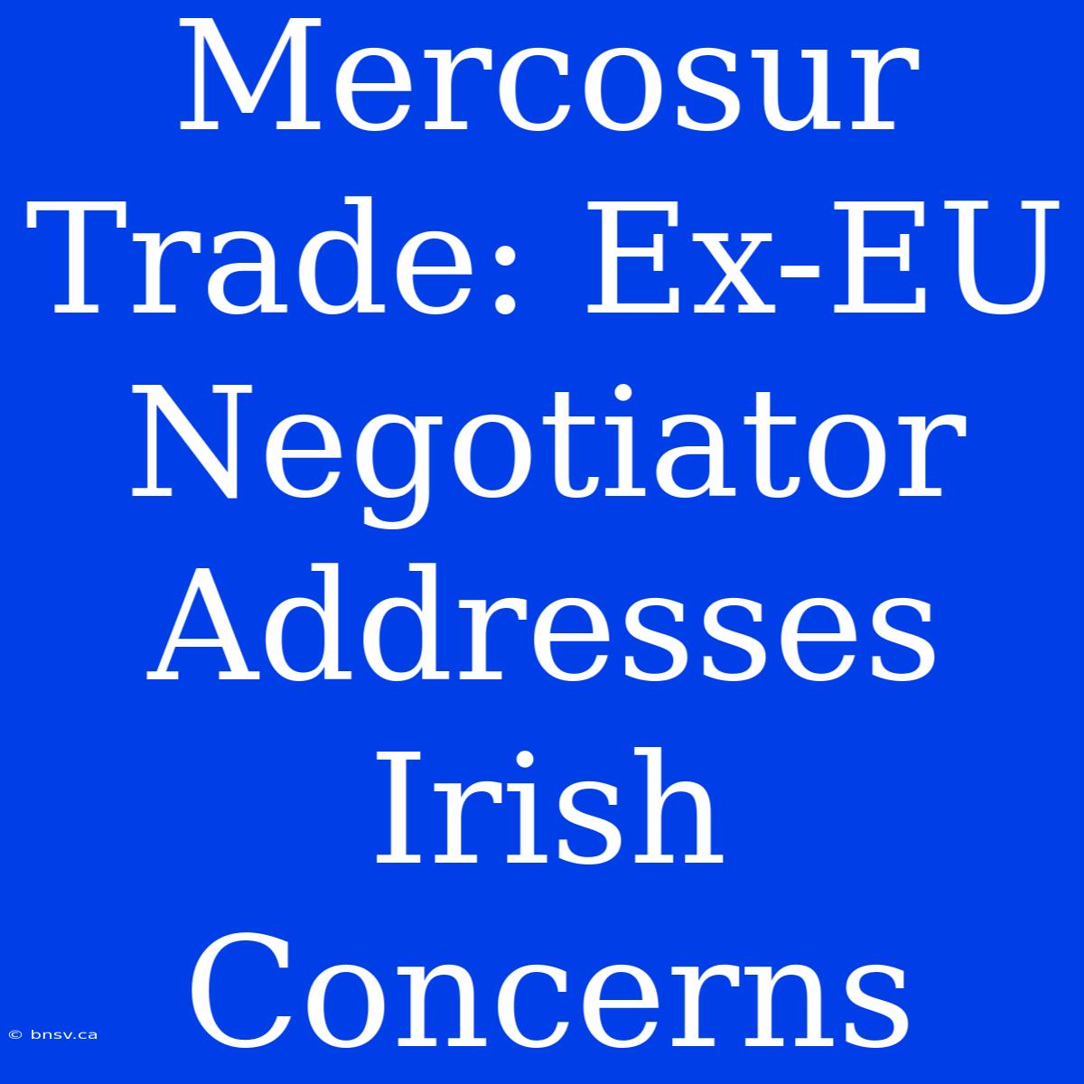 Mercosur Trade: Ex-EU Negotiator Addresses Irish Concerns