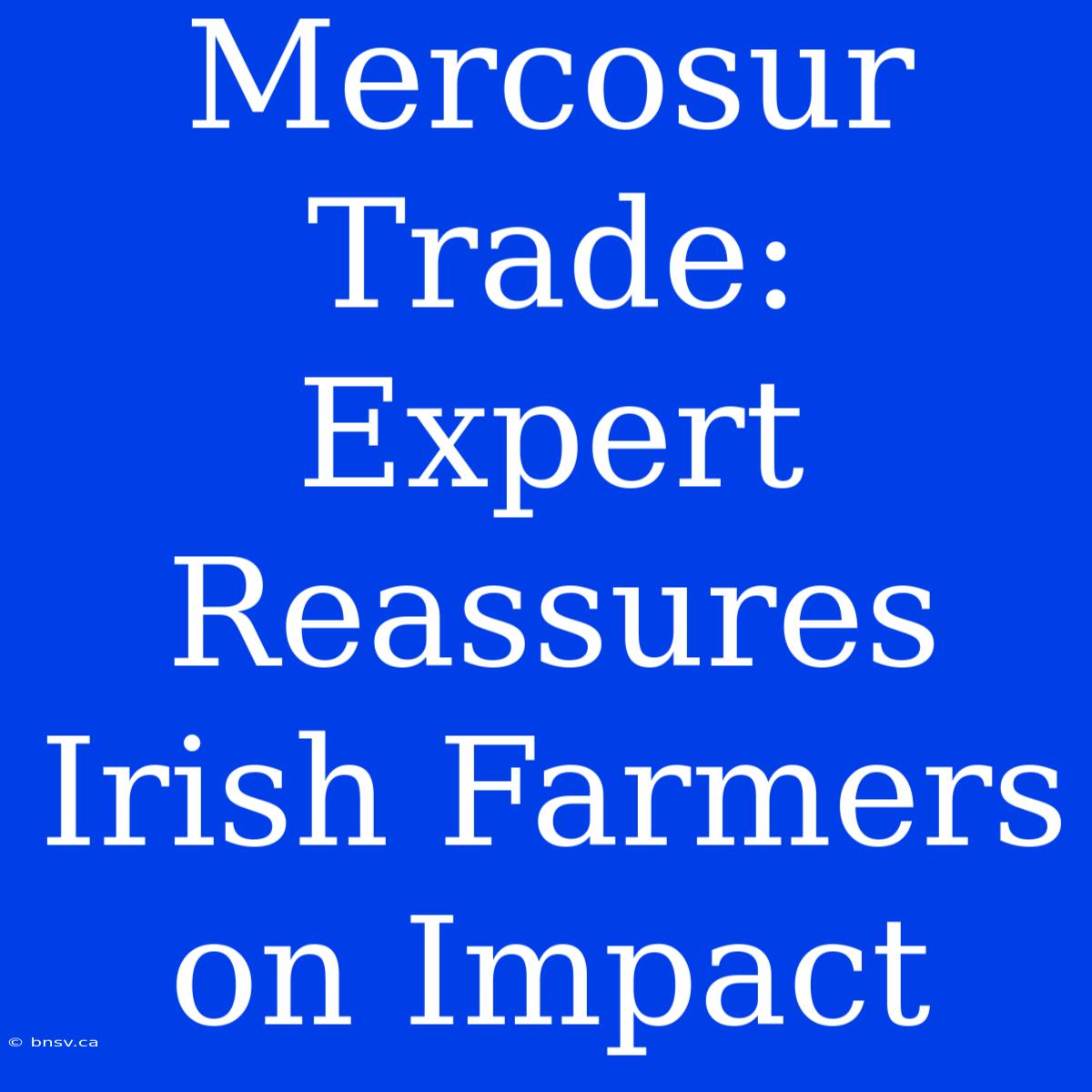 Mercosur Trade: Expert Reassures Irish Farmers On Impact