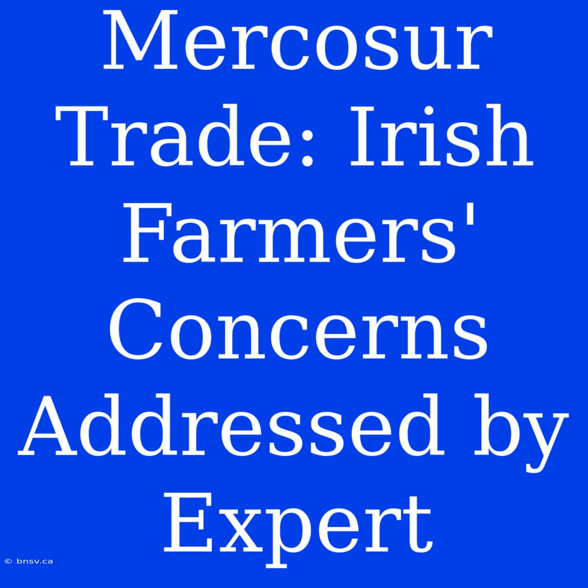 Mercosur Trade: Irish Farmers' Concerns Addressed By Expert