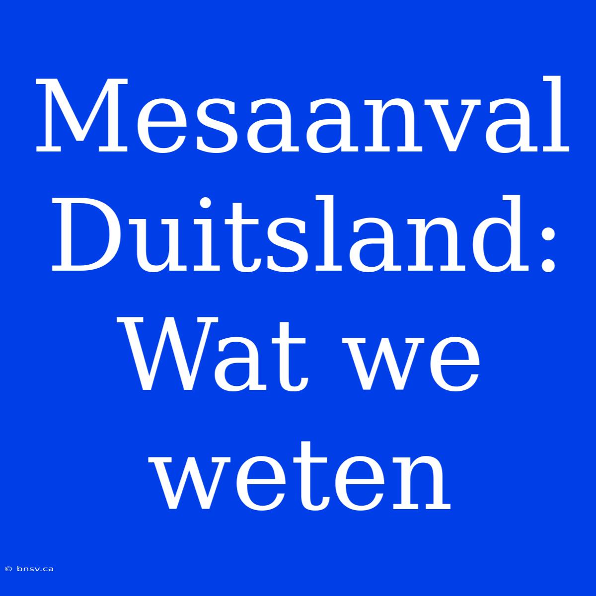 Mesaanval Duitsland: Wat We Weten