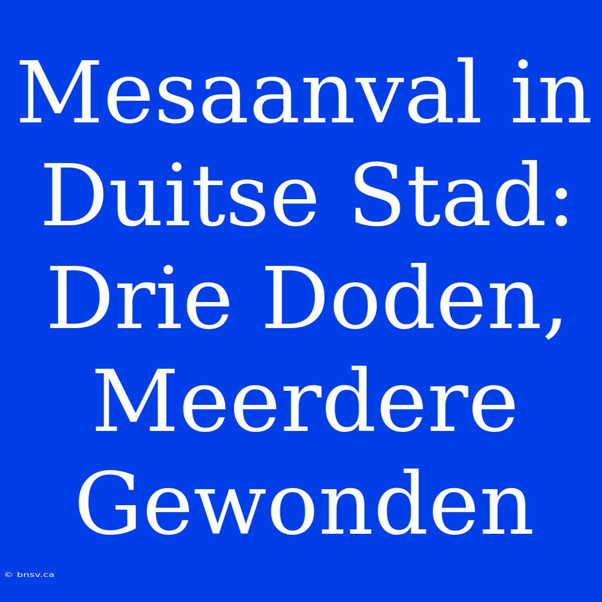 Mesaanval In Duitse Stad: Drie Doden, Meerdere Gewonden