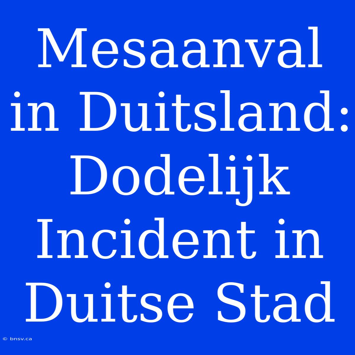 Mesaanval In Duitsland: Dodelijk Incident In Duitse Stad