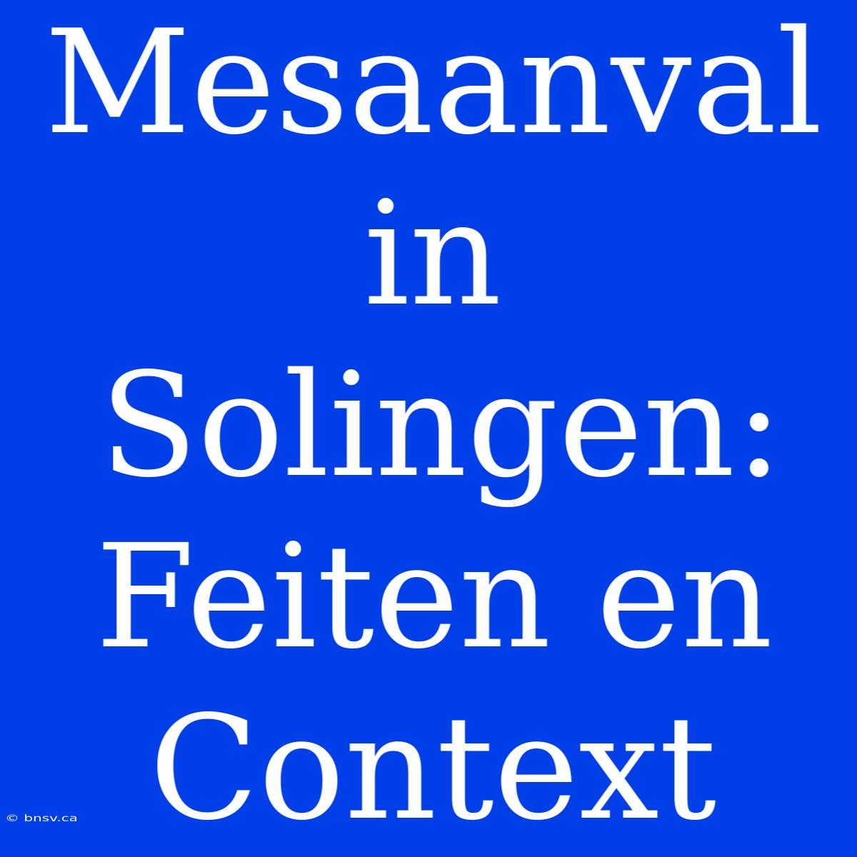 Mesaanval In Solingen: Feiten En Context