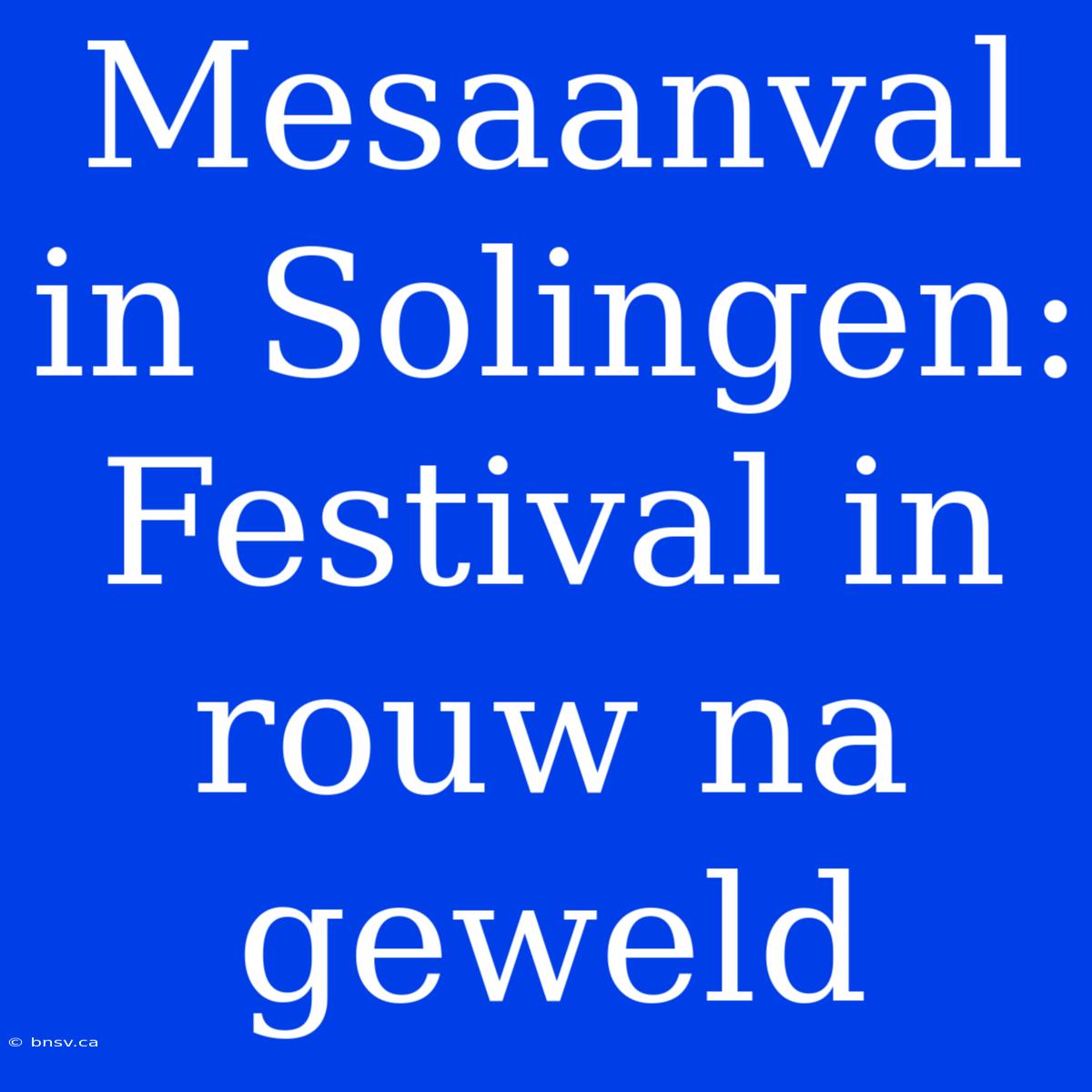 Mesaanval In Solingen: Festival In Rouw Na Geweld