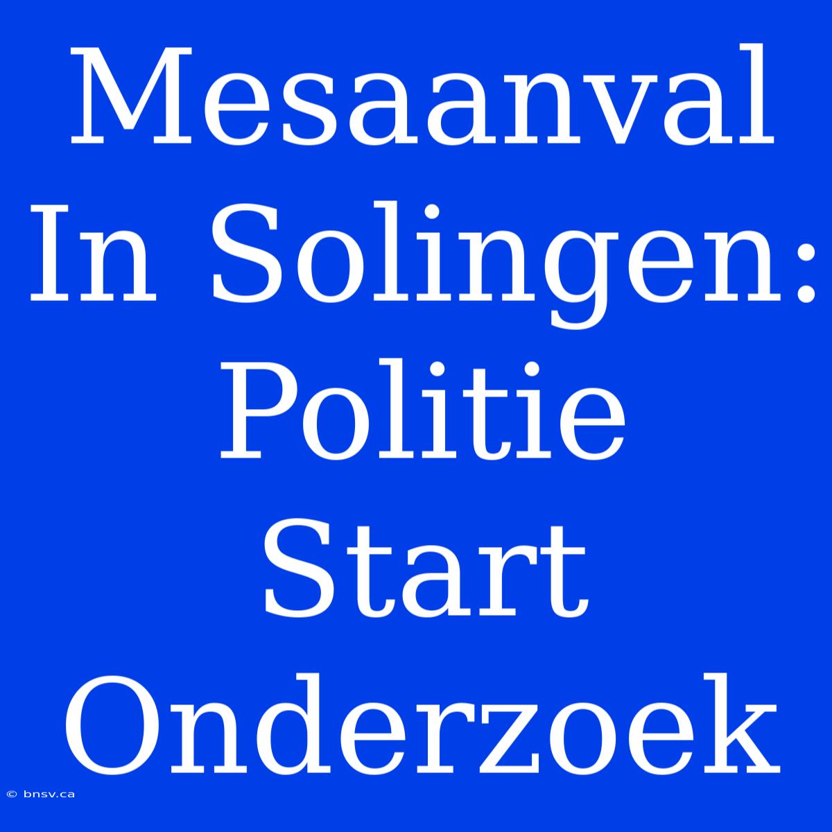 Mesaanval In Solingen: Politie Start Onderzoek