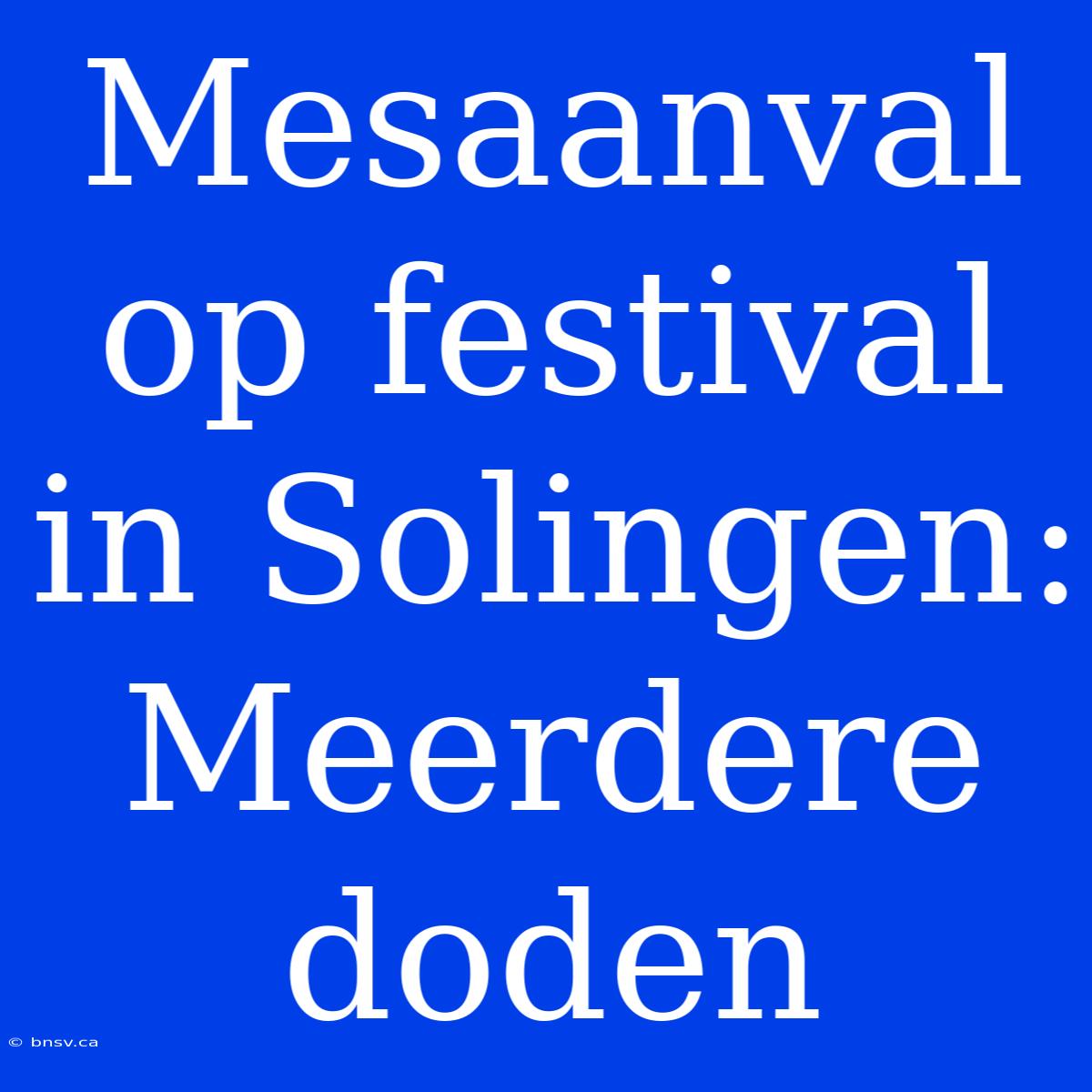 Mesaanval Op Festival In Solingen: Meerdere Doden