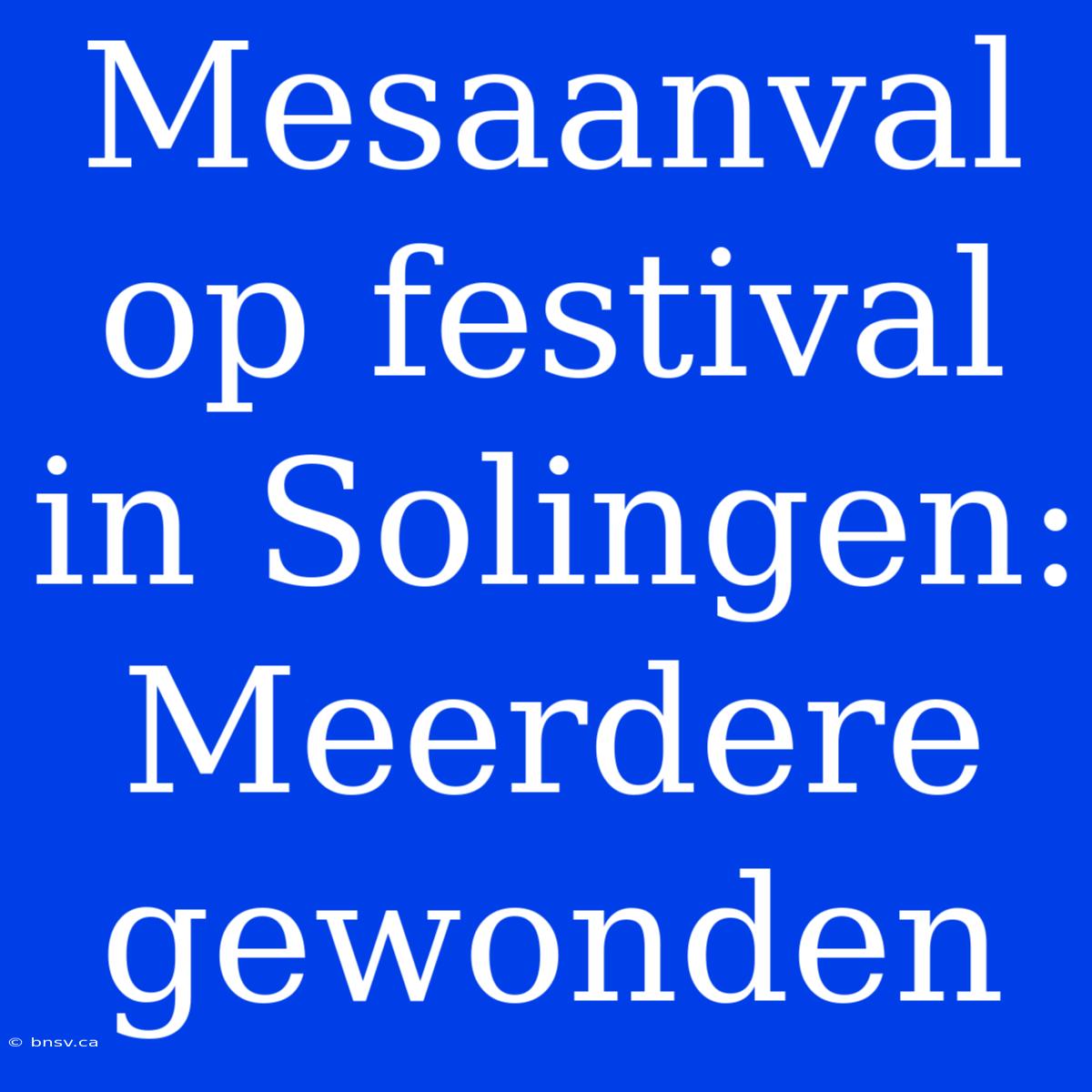 Mesaanval Op Festival In Solingen: Meerdere Gewonden