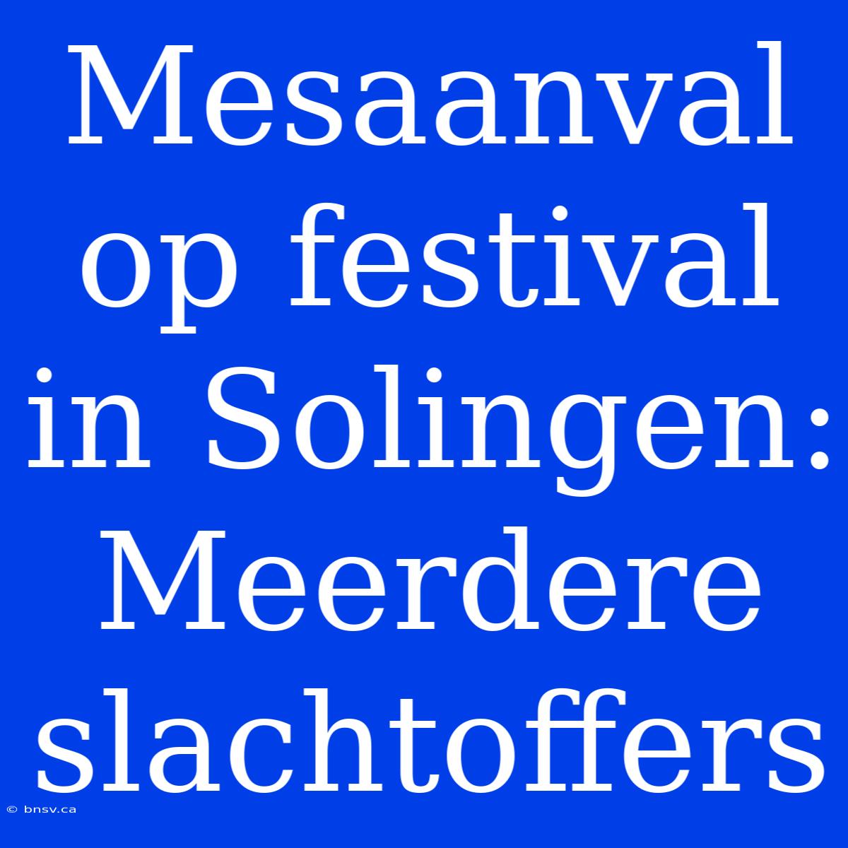 Mesaanval Op Festival In Solingen: Meerdere Slachtoffers