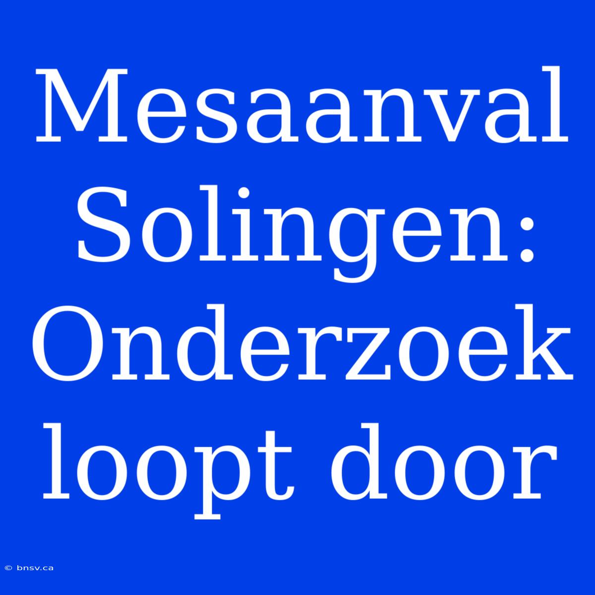 Mesaanval Solingen: Onderzoek Loopt Door