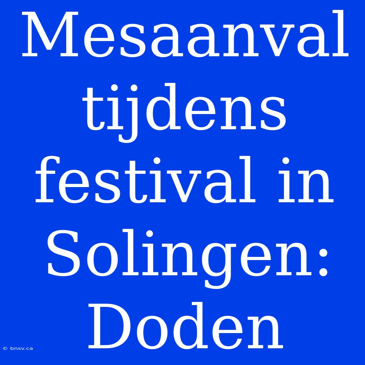 Mesaanval Tijdens Festival In Solingen: Doden