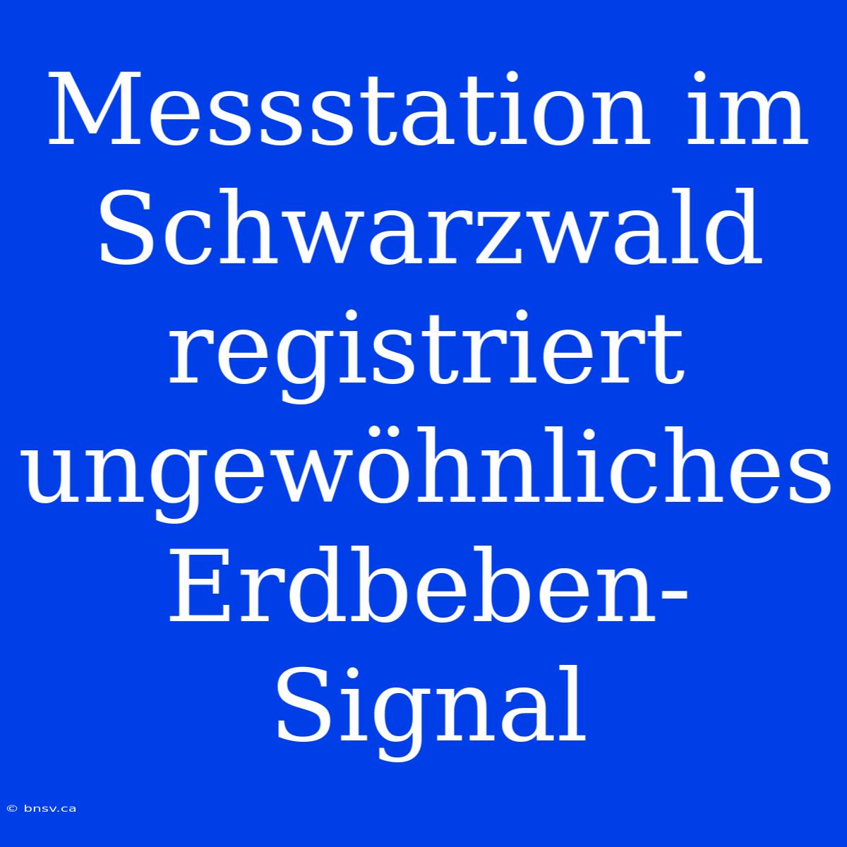 Messstation Im Schwarzwald Registriert Ungewöhnliches Erdbeben-Signal